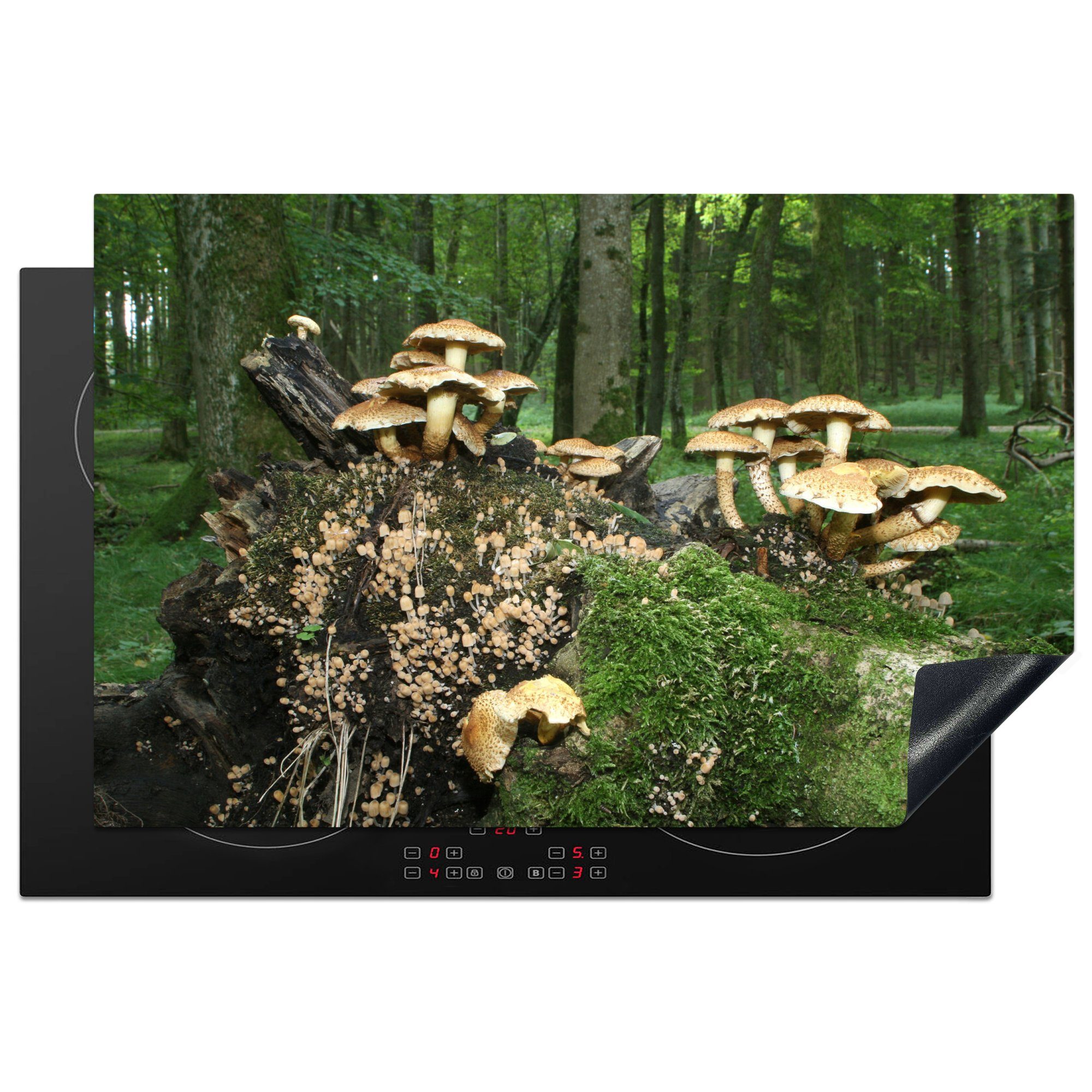 MuchoWow Herdblende-/Abdeckplatte Gruppe von Pilzen im Wald, Vinyl, (1 tlg), 81x52 cm, Induktionskochfeld Schutz für die küche, Ceranfeldabdeckung