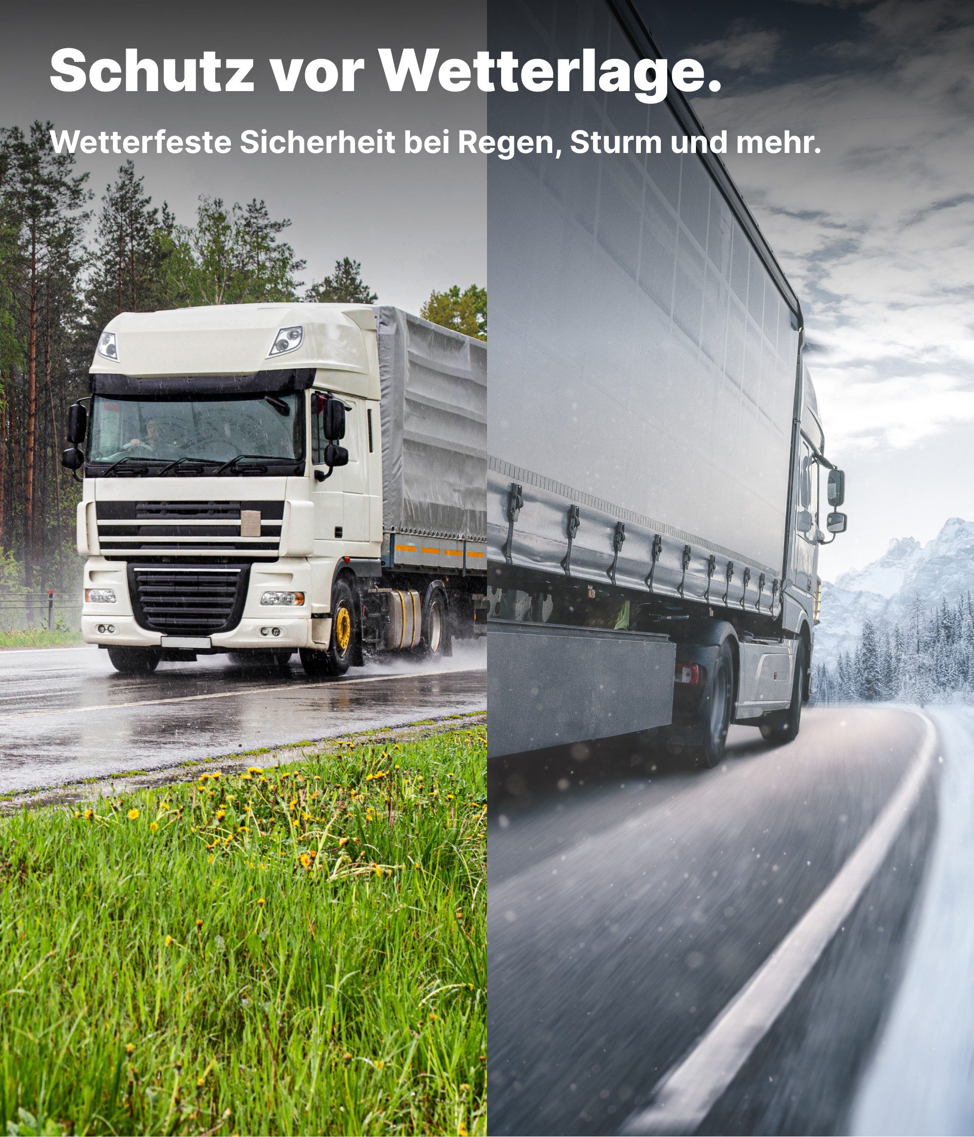 NEMAXX Schutzplane 500×1000 cm – 450 g/m²–50 m²–Schwarz–100 % wasserdicht & UV-beständig (Rundum verschweißter Saum (ca. 5 cm), Aluminium-Ösen alle 50 cm, fertig konfektioniert und ideal für den vielseitigen Einsatz im Innen- und Außenbereich, hochwertige Premium Abdeckplane), Extrem reißfest & langlebig, Schwer entflammbar & schimmelresistent