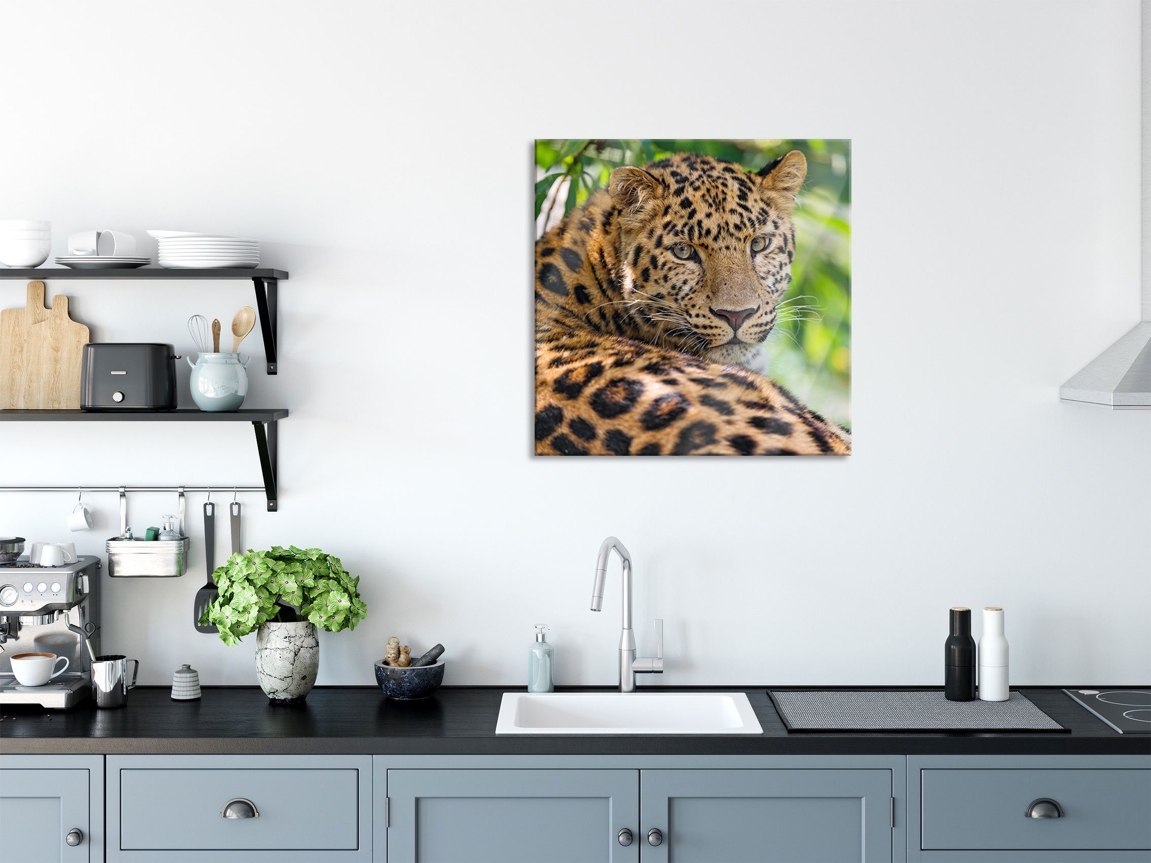 Pixxprint Glasbild Leopard aus im Schatten und Echtglas, inkl. Leopard im St), (1 aufmerksamer Schatten, aufmerksamer Abstandshalter Glasbild Aufhängungen