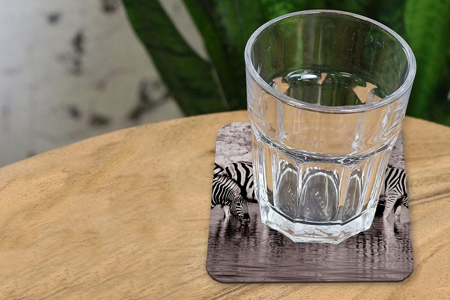 Tasse im Glasuntersetzer Gläser, MuchoWow Untersetzer, Wasser, Zebras Zubehör Korkuntersetzer, Tischuntersetzer, 6-tlg., Glasuntersetzer, für