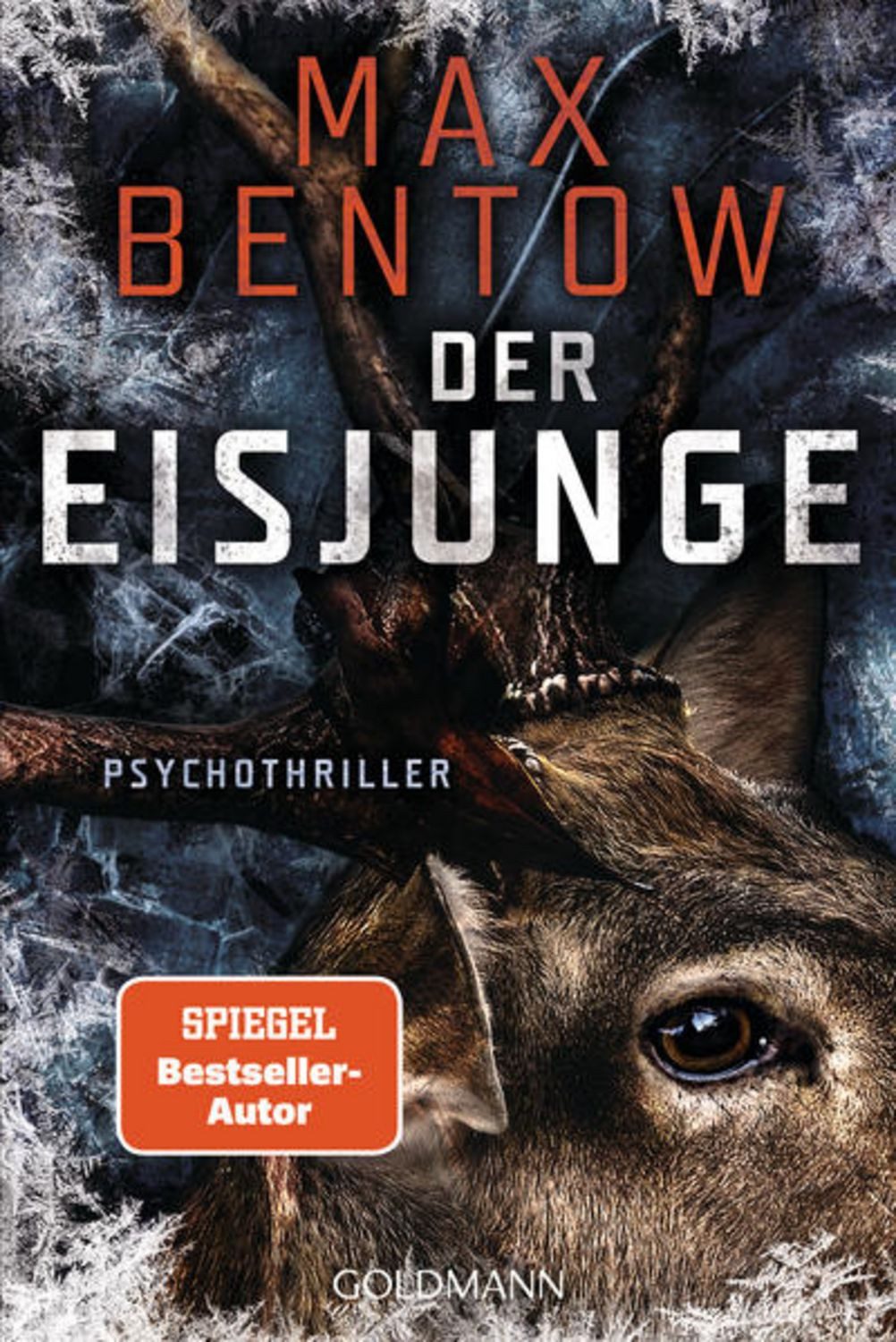 Der Eisjunge / Max Bentow