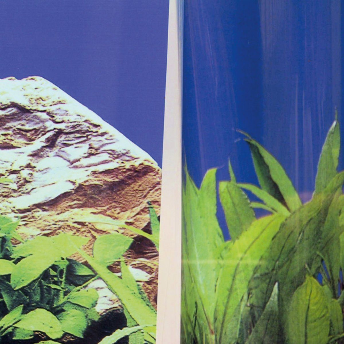 JBL GmbH & Co. KG Aquarienrückwand Fixol 50 ml