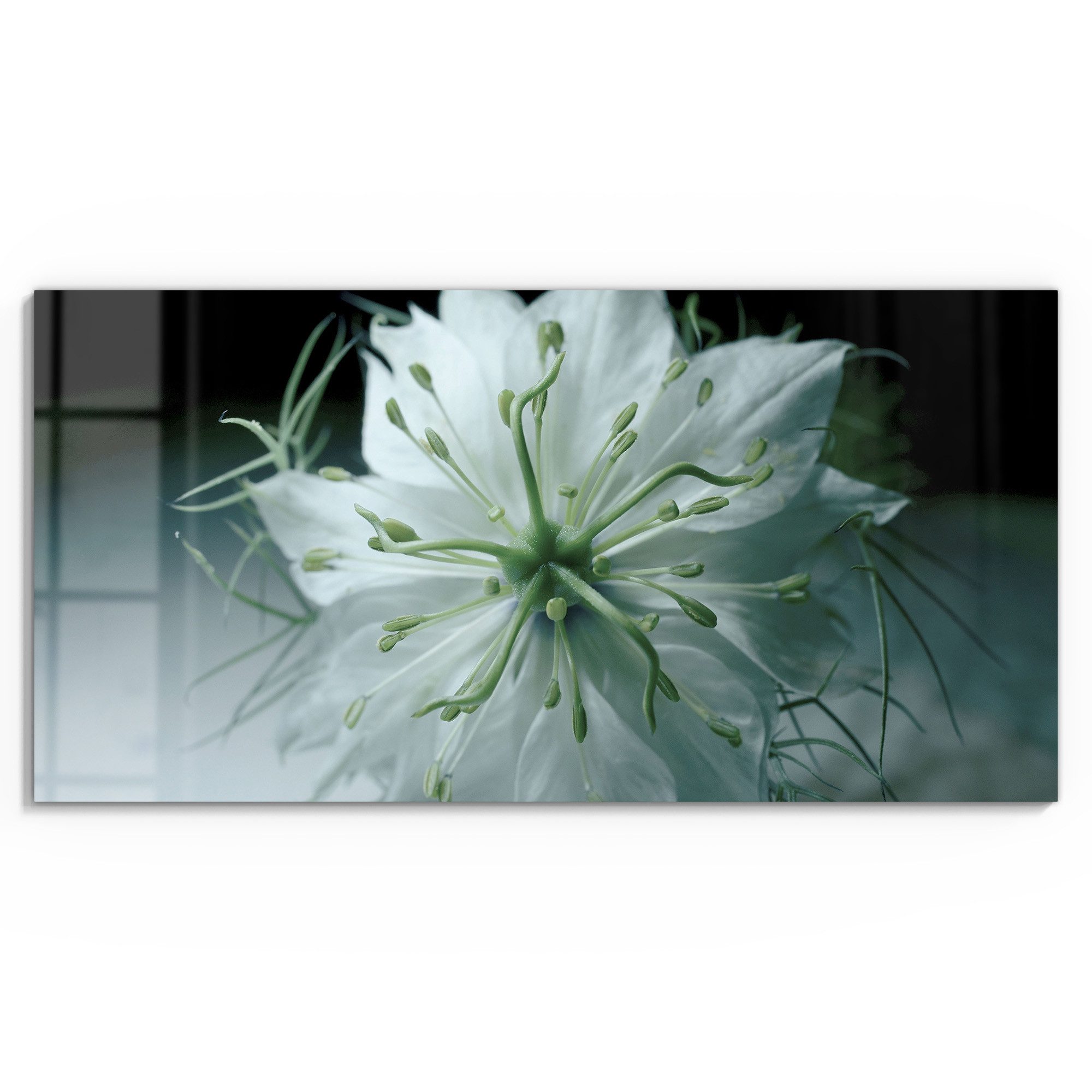 DEQORI Glasbild 'Stille Schönheit', 'Stille Schönheit', Glas Wandbild Bild schwebend modern
