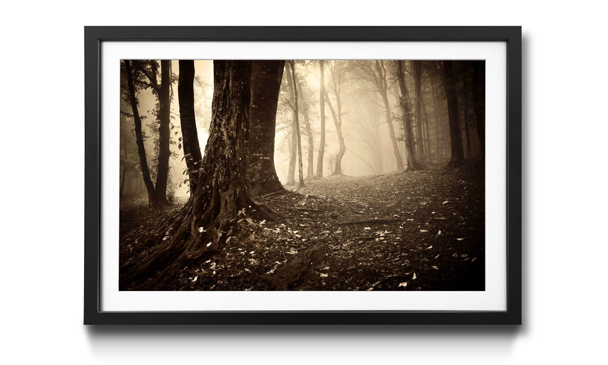 WandbilderXXL Bild mit Rahmen Enchanted Forest, Wald, Wandbild, in 4 Größen erhältlich | Bilder