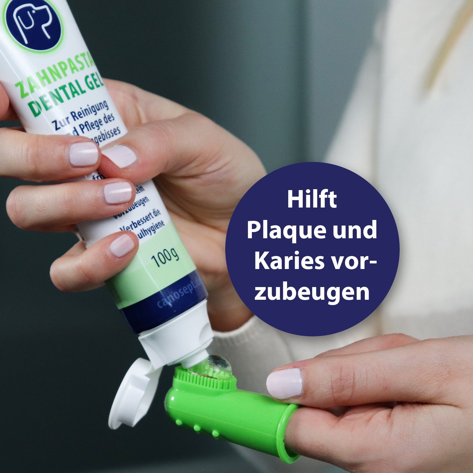 Canosept Fellpflege Canosept Zahnpflege-Set Hunde