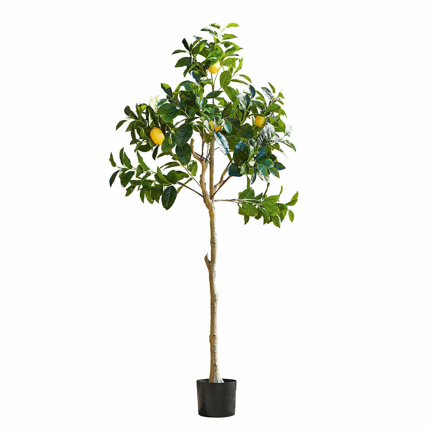 Kunstblume DekoBaum Darfield grün/gelb, Mirabeau, Höhe 167.0 cm