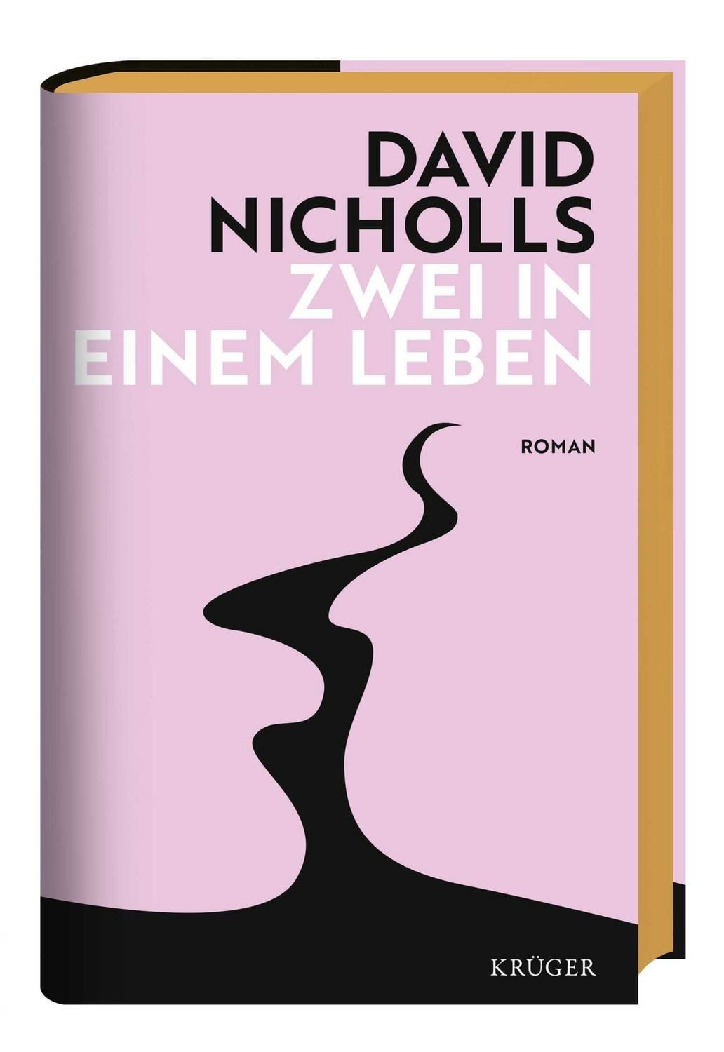 Zwei in einem Leben / David Nicholls, Roman, Der neue große Liebesroman vom »Zwei an einem Tag«-Autor