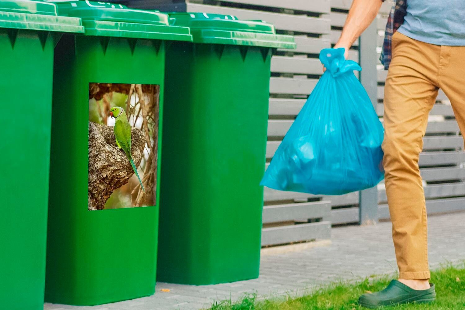 Das Container, einem Mülleimer-aufkleber, schöne (1 eines Mülltonne, Wandsticker Abfalbehälter Sticker, Ast St), Alexandersittichs grüne sitzenden MuchoWow Fell auf