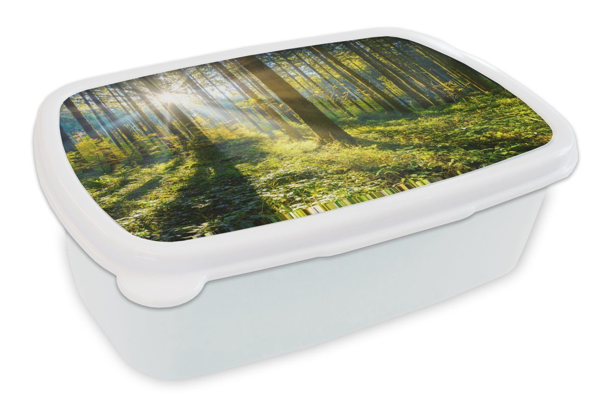 MuchoWow Lunchbox Wald - Sonne - Sommer, Kunststoff, (2-tlg), Brotbox für Kinder und Erwachsene, Brotdose, für Jungs und Mädchen weiß