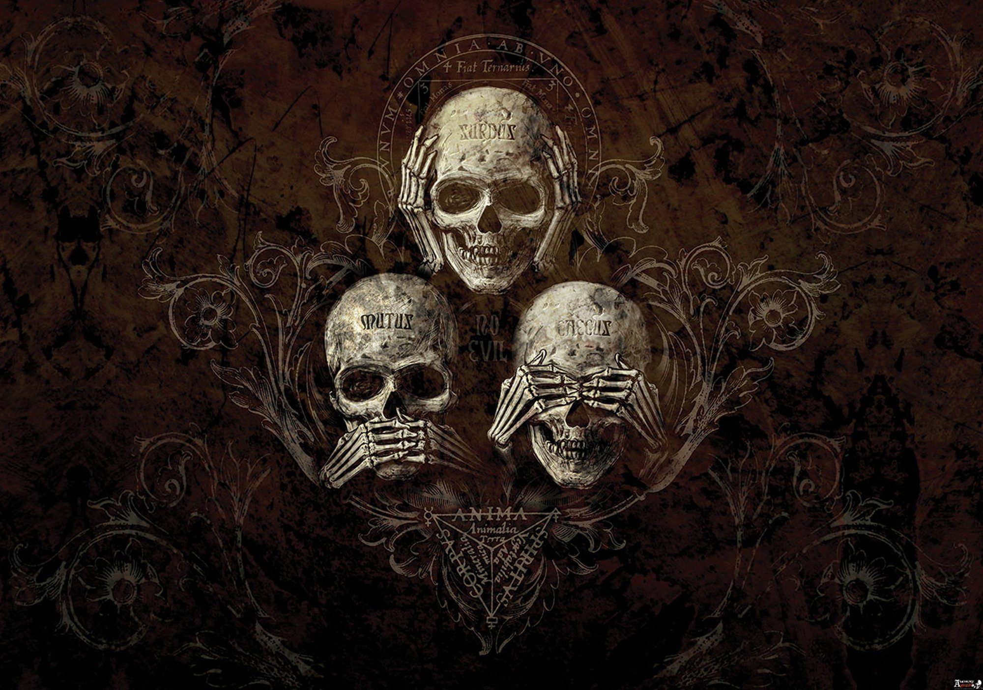 Wallarena Fototapete Totenkopf Schädel Gothic Alchemy günstig online kaufen