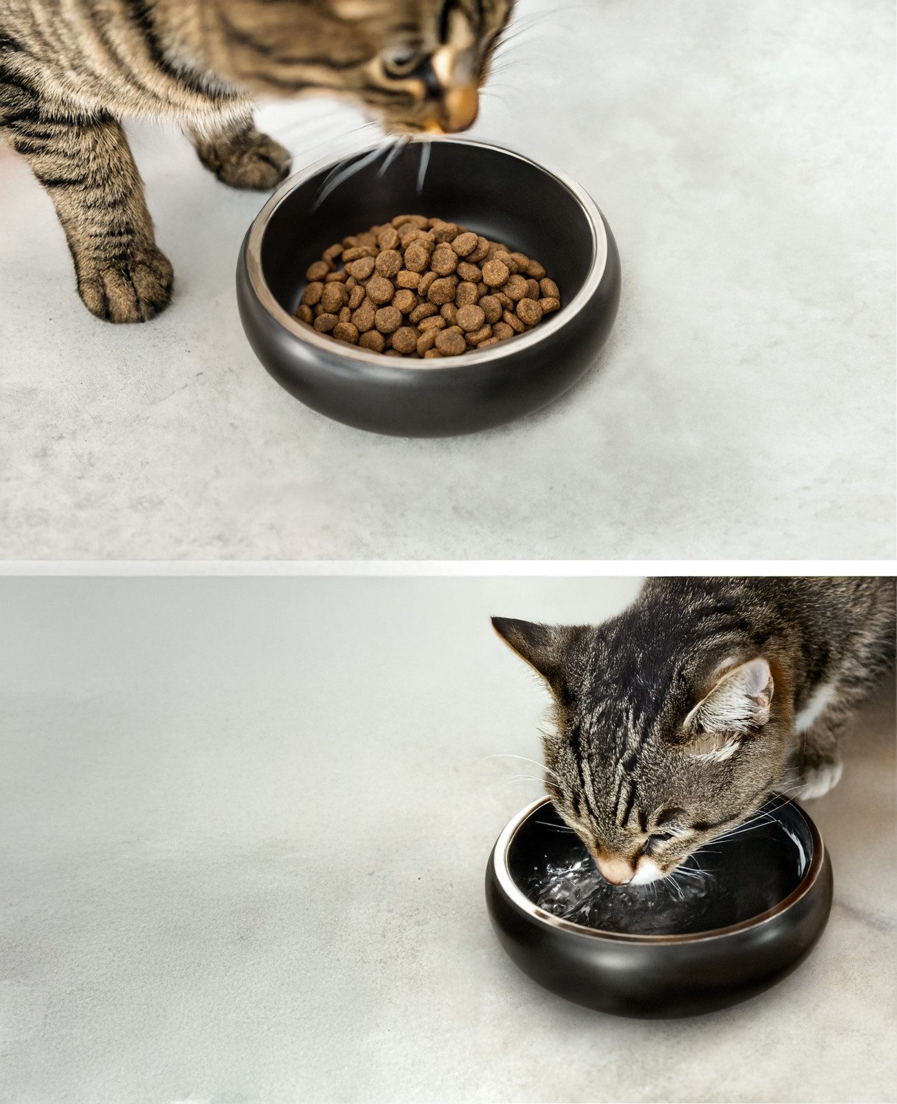 lionto Napf bauchig & rutschfest, für Katzen, schwarz, Edelstahl, langlebig & modernes Design