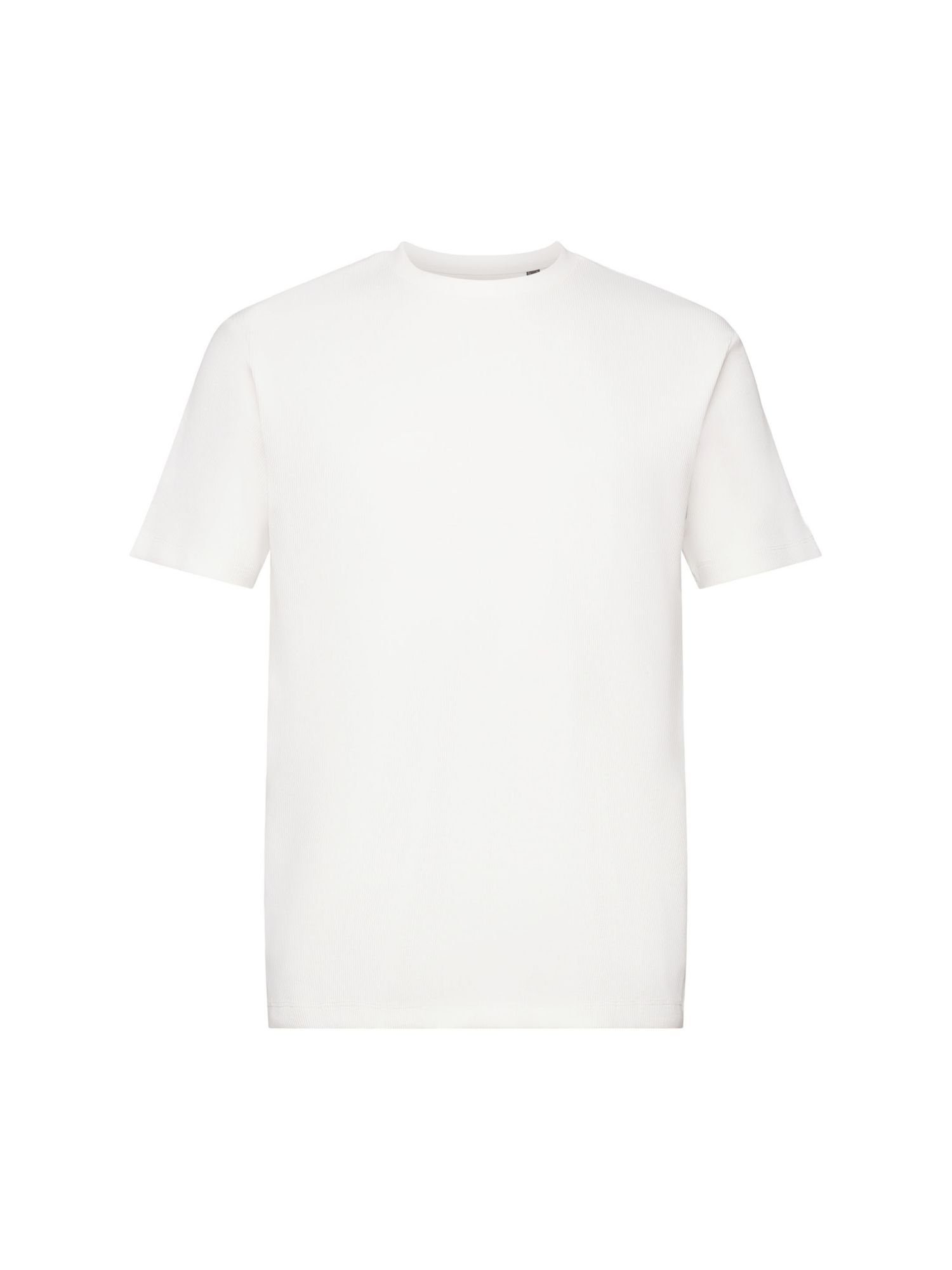 Esprit Collection T-Shirt Geripptes T-Shirt (1-tlg) OFF WHITE