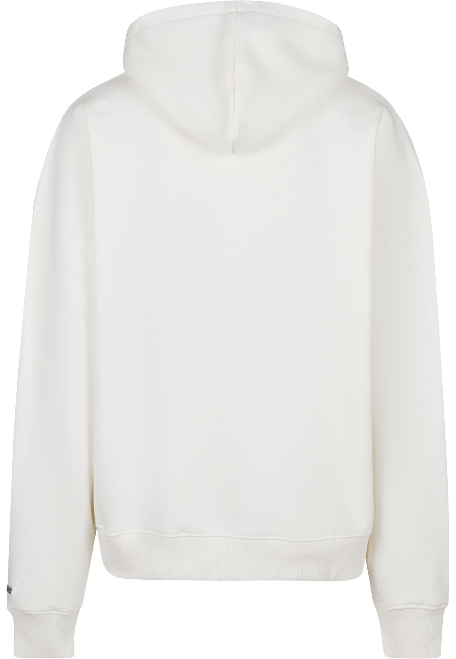 Dropsize Sweatjacke Dropsize SUPER HEAVY OVERSIZE LOGO ZIP HOODIE günstig online kaufen