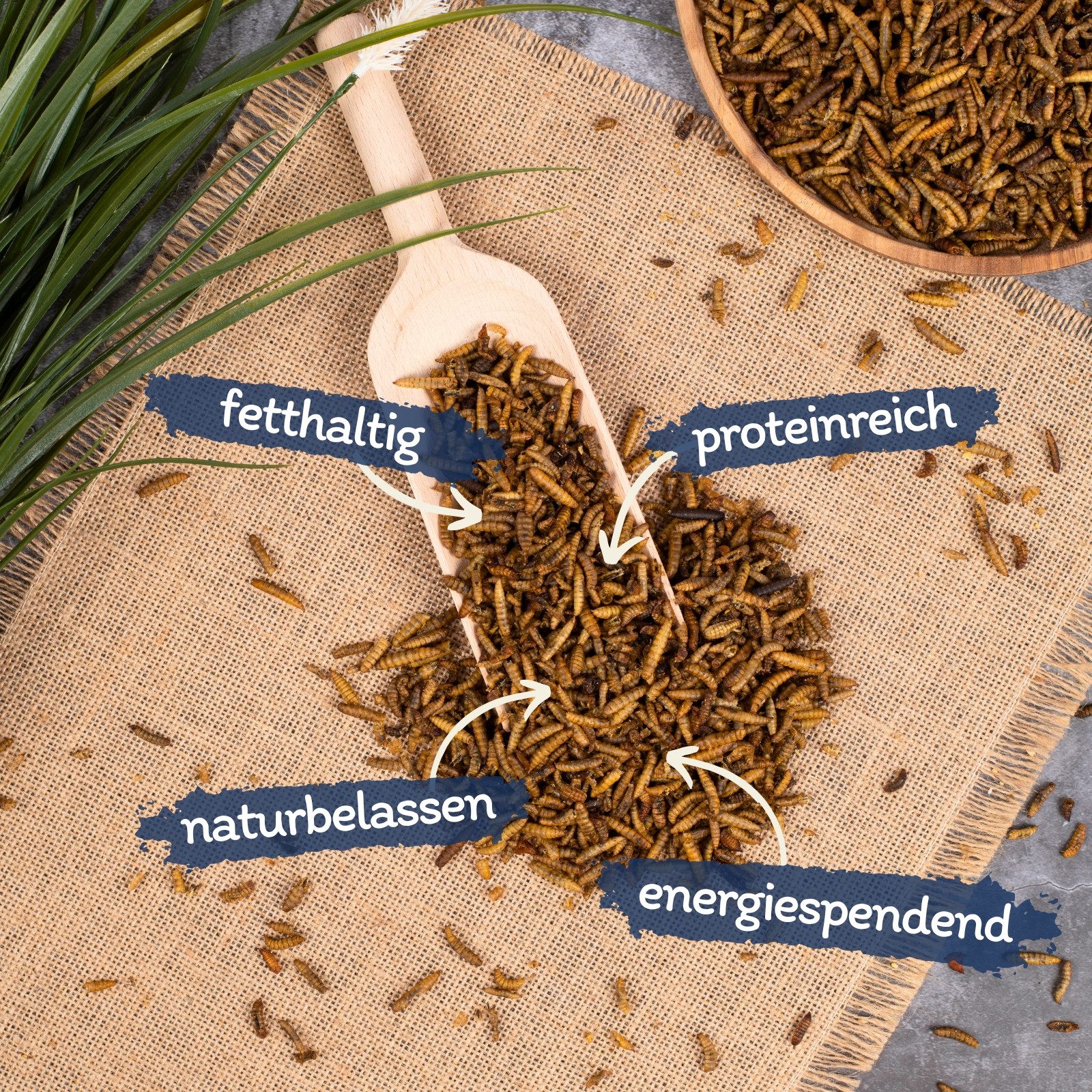 Lyra Pet 1 kg Lyra Pet® Soldatenfliegenlarven, für: Wildvogel, Nager, Reptilien, Fisch