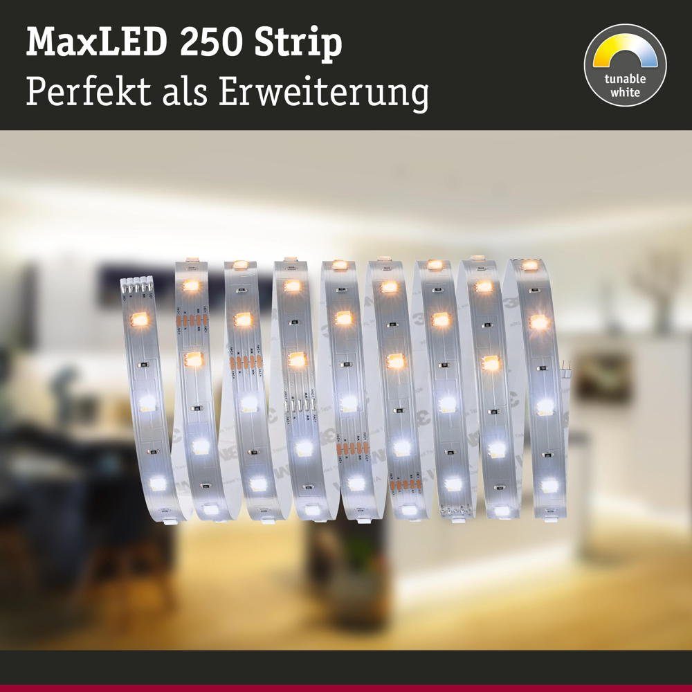 Stripe Paulmann LED LED LED 2700-6500K in 675lm 2500mm, MaxLED Streifen Strip Silber 1-flammig, 9W Erweiterung
