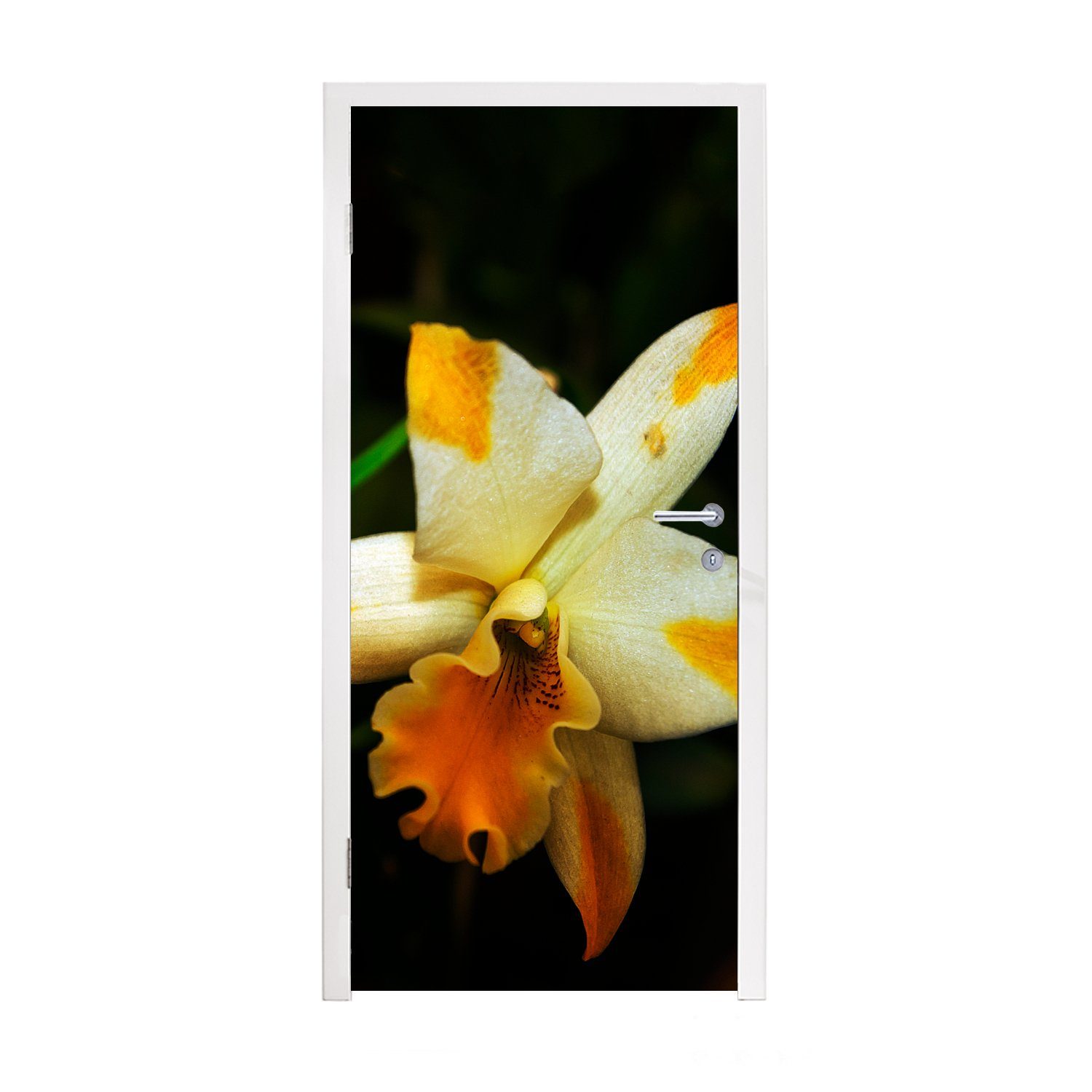 MuchoWow Türtapete Zwei Orchideenblüten, Matt, bedruckt, (1 St), Fototapete für Tür, Türaufkleber, 75x205 cm