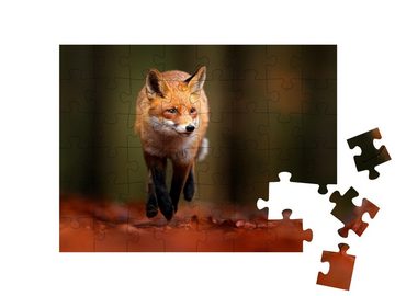puzzleYOU Puzzle Rotfuchs in herbstlichem Gelände, 48 Puzzleteile, puzzleYOU-Kollektionen Füchse, Tiere in Wald & Gebirge