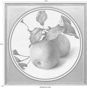 queence Acrylglasbild Äpfel