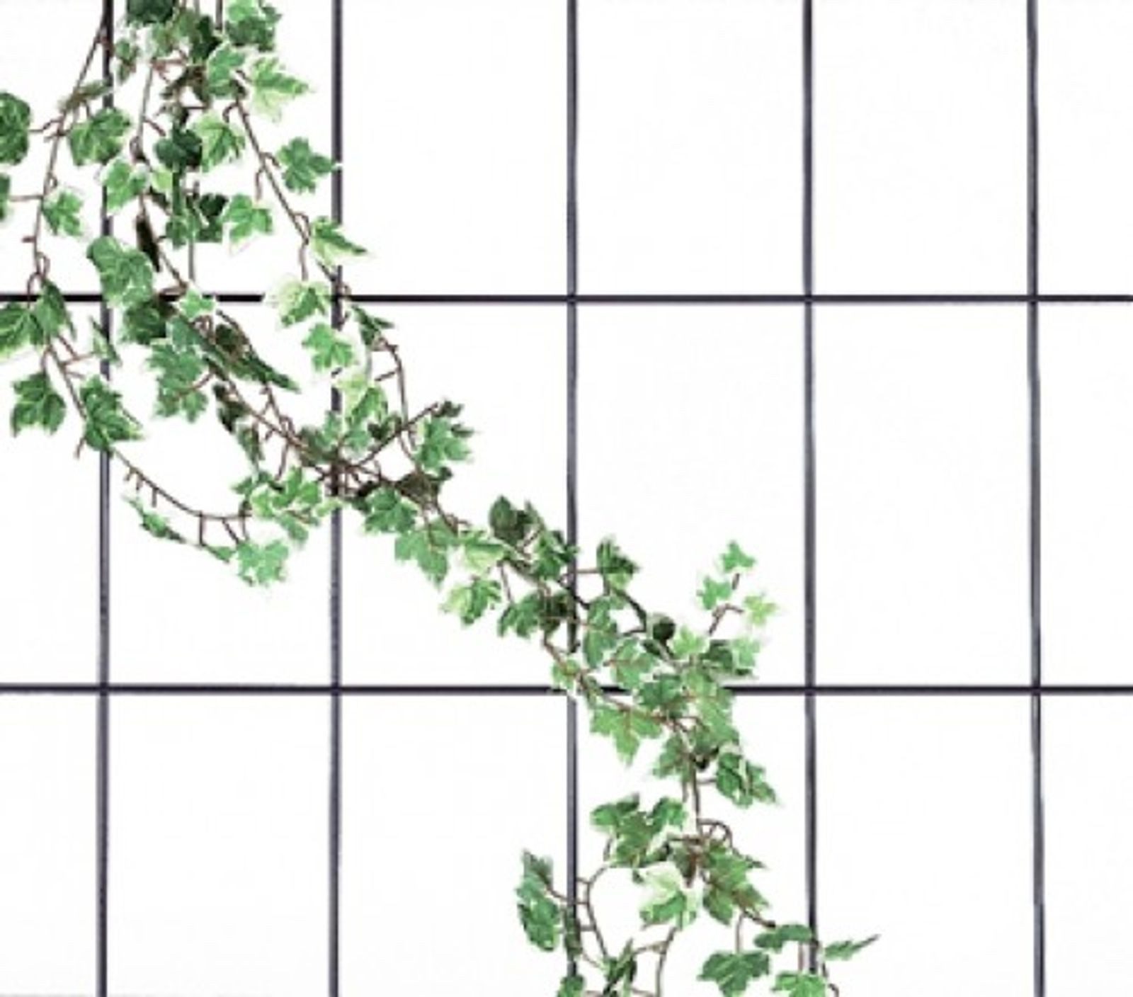 BURI Spalier Blumenspalier aus Metall 150x75cm Rankgitter Rankhilfe Rosengitter Pfl