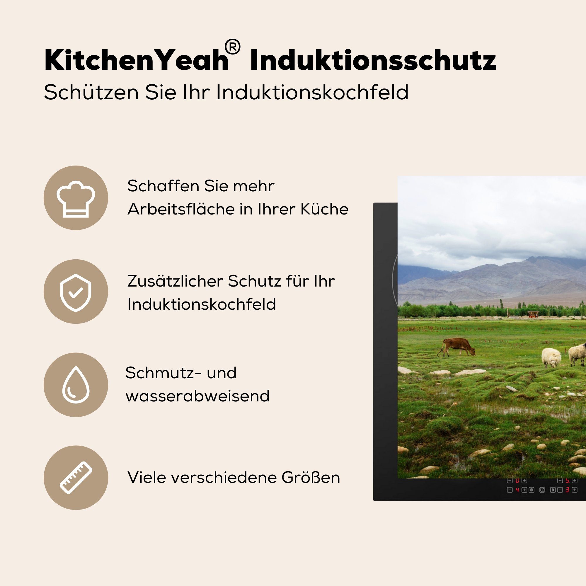 Vinyl, 81x52 Induktionskochfeld cm, Futter Herdblende-/Abdeckplatte Schutz MuchoWow tlg), Schafe die - - (1 Ceranfeldabdeckung küche, für Gras,