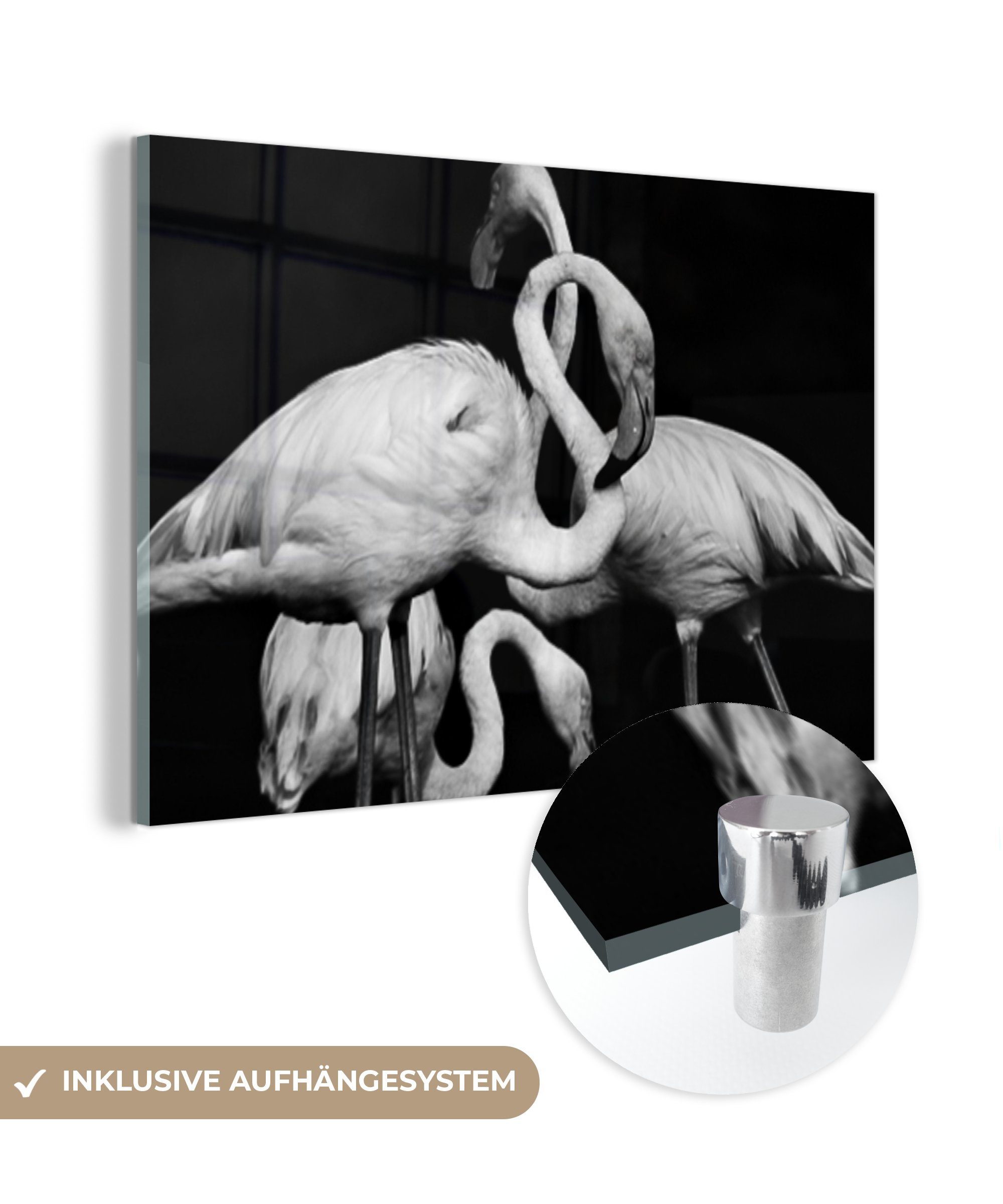 MuchoWow Acrylglasbild Flamingos in Schwarz und Weiß, (1 St), Acrylglasbilder Wohnzimmer & Schlafzimmer