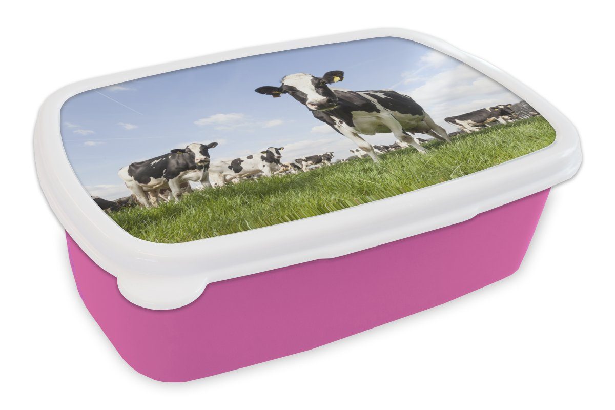 MuchoWow Lunchbox Kühe - Gras - Tiere - Sonne - Bauernhof, Kunststoff, (2-tlg), Brotbox für Erwachsene, Brotdose Kinder, Snackbox, Mädchen, Kunststoff rosa