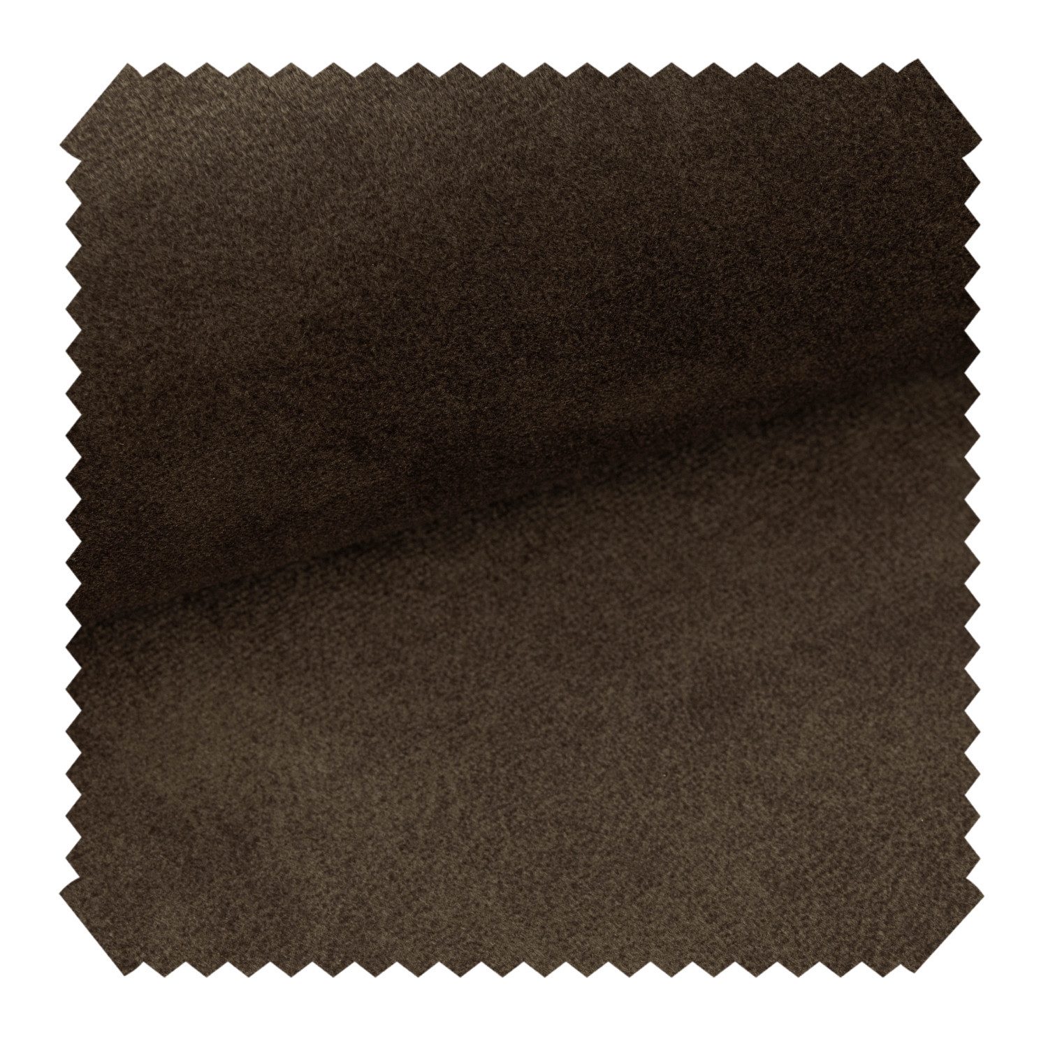 09 Braun