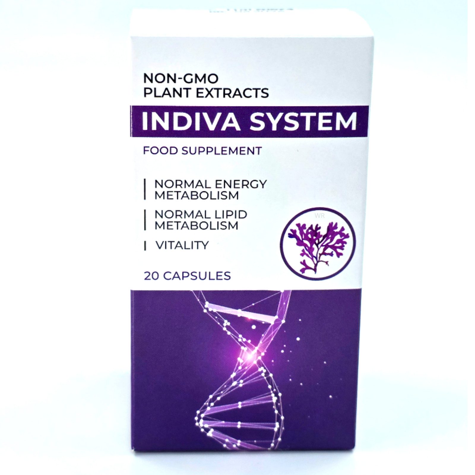 Indiva System Indiva System – 20 Kapseln Kapseln, 7,78 g