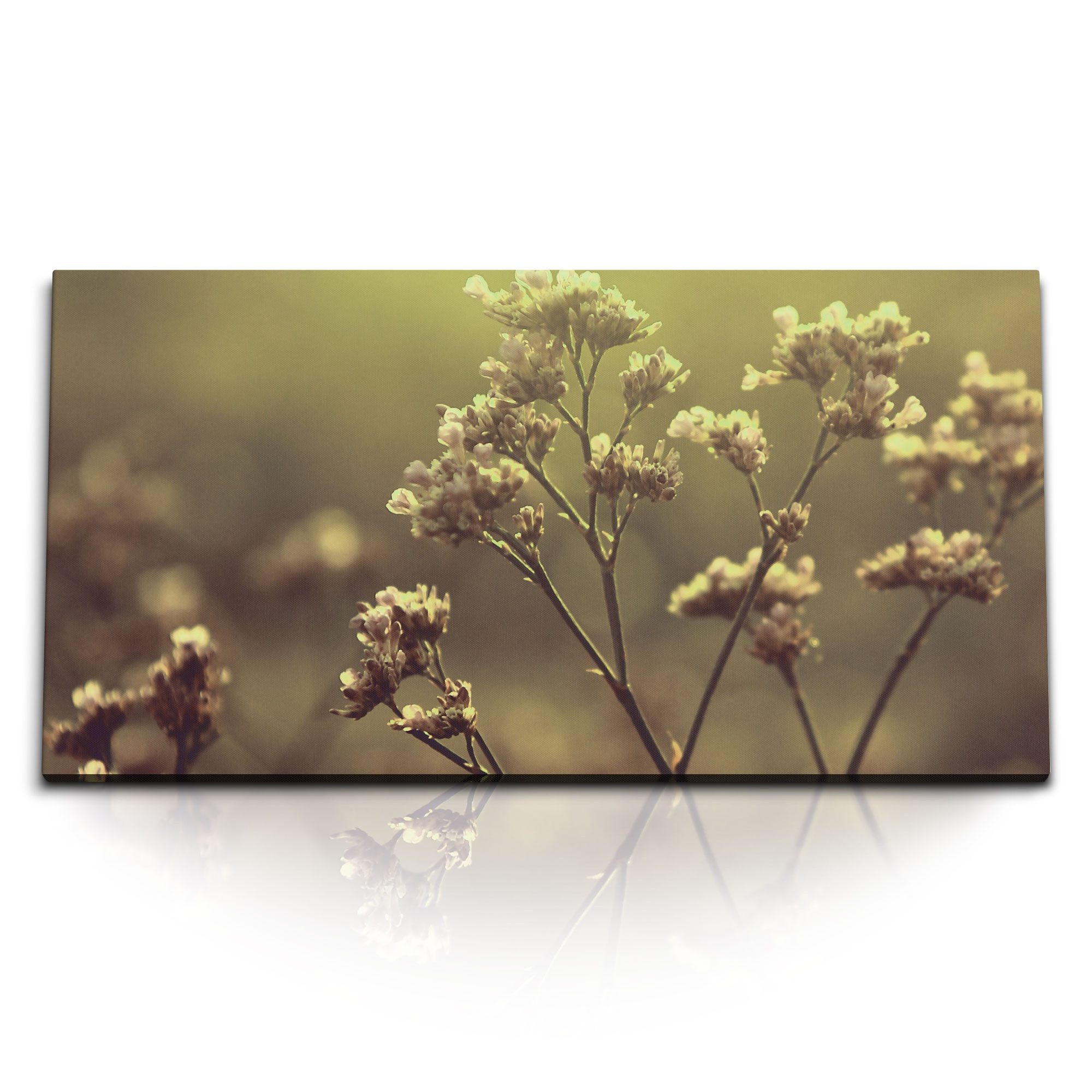 Leinwandbild Kunstdruck Bilder 120x60cm Sonnenuntergang Natur Pflanze Blume Blüten