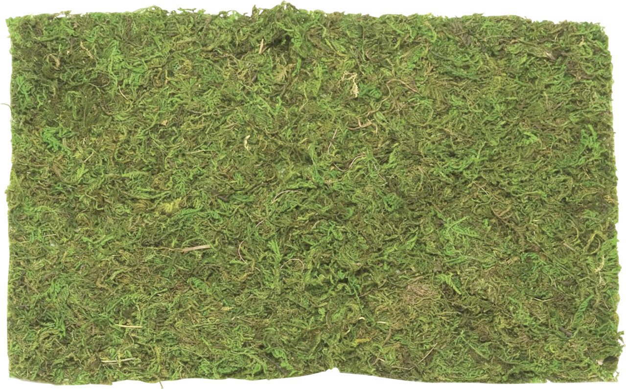 Glorex Dekofigur Glorex Plattenmoos 30 g Beutel