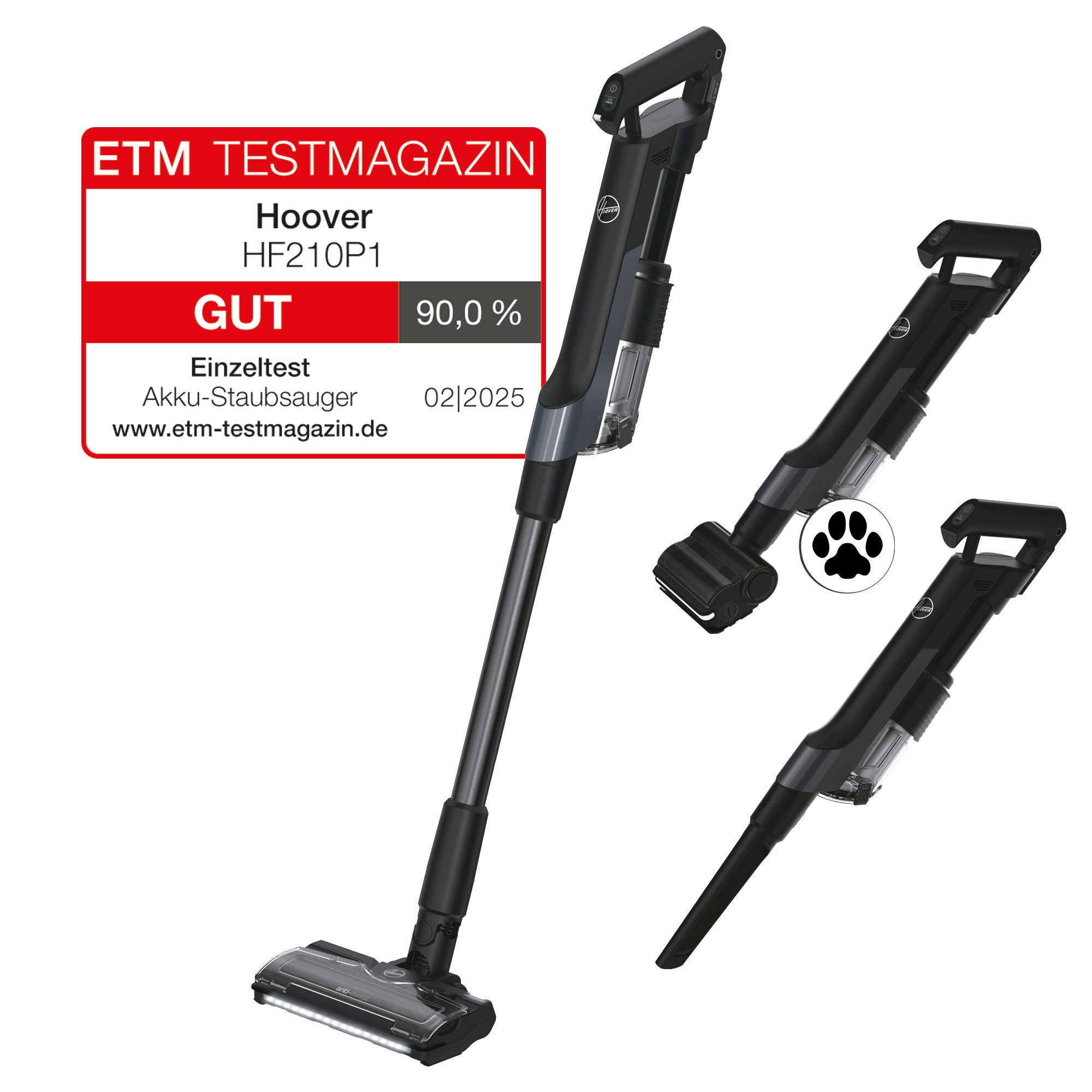 Hoover Akku-Hand-und Stielstaubsauger Hoover HF2 Akkustaubsauger mit Tierhaar-Düse [HF210P1]