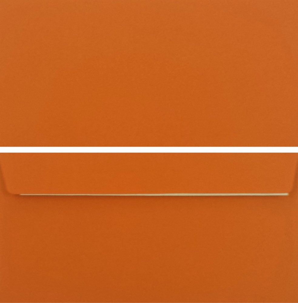 LYSCO Briefpapier farbige Premium Briefumschläge Caribic, Format DIN lang, Verschluss selbstklebend, ohne Fenster