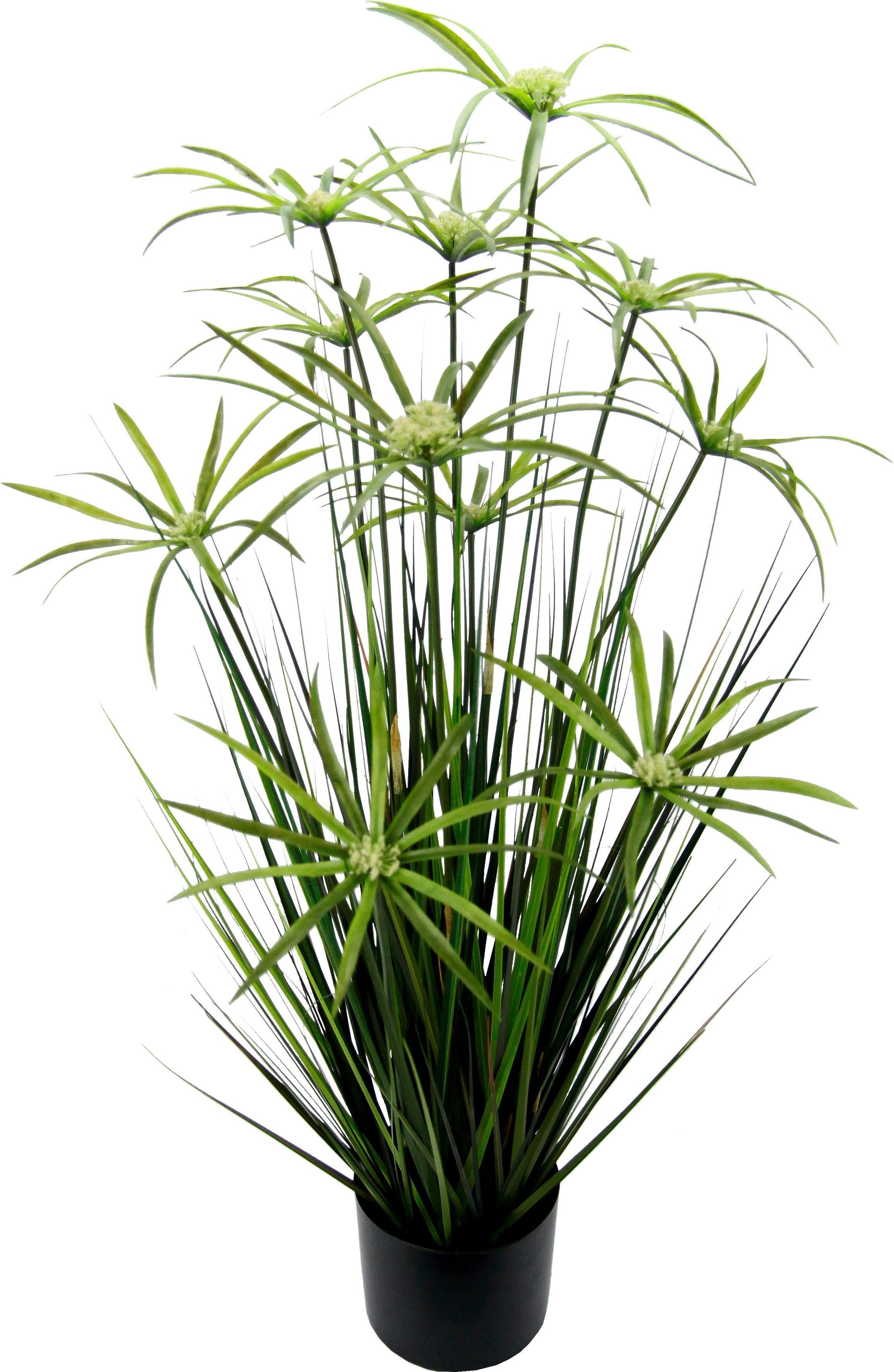 Kunstpflanze Zyperngras im Topf, I.GE.A., Höhe 90 cm | Kunstpflanzen