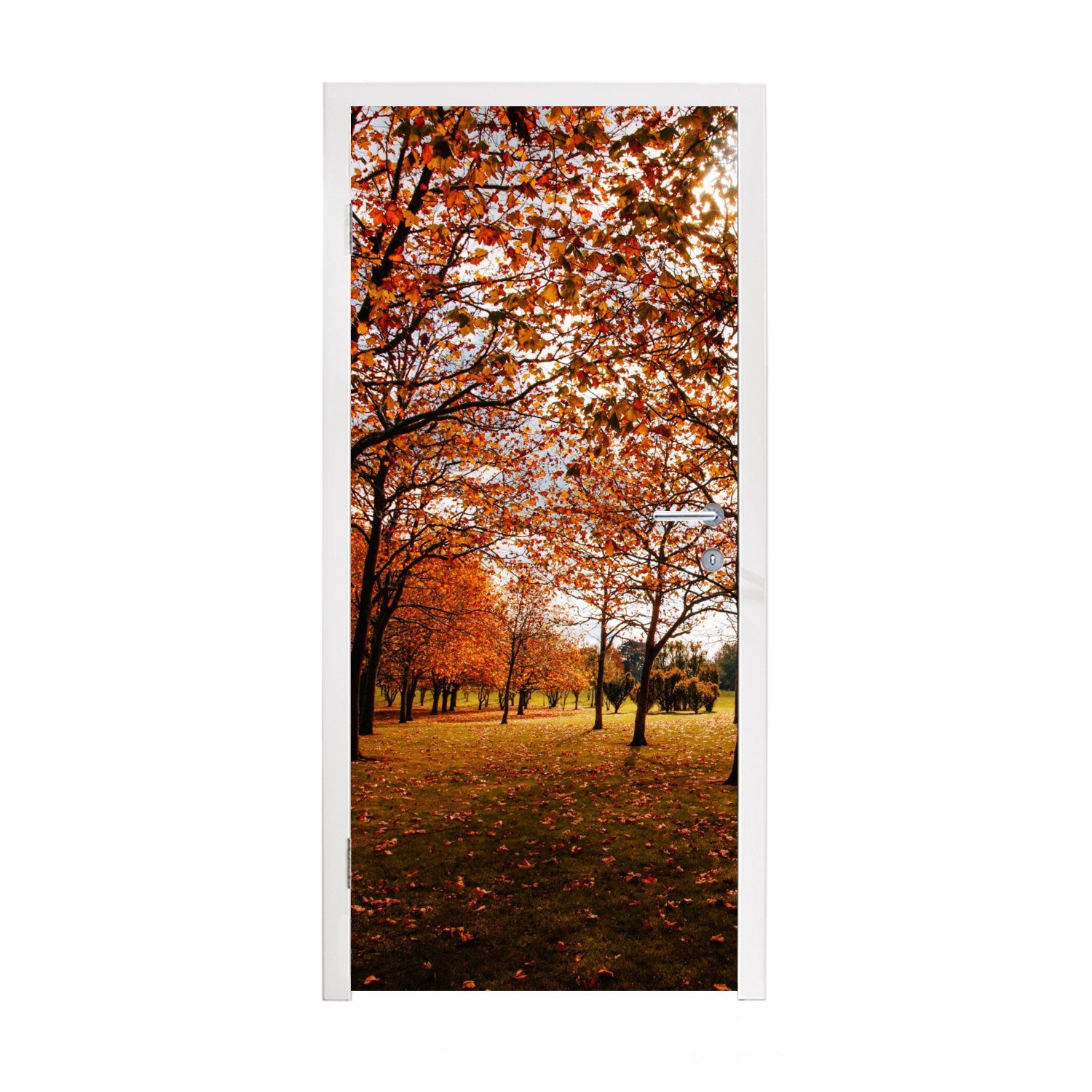 MuchoWow Türtapete Herbst - Herbstblätter - Natur, Matt, bedruckt, (1 St), Fototapete für Tür, Türaufkleber, 75x205 cm