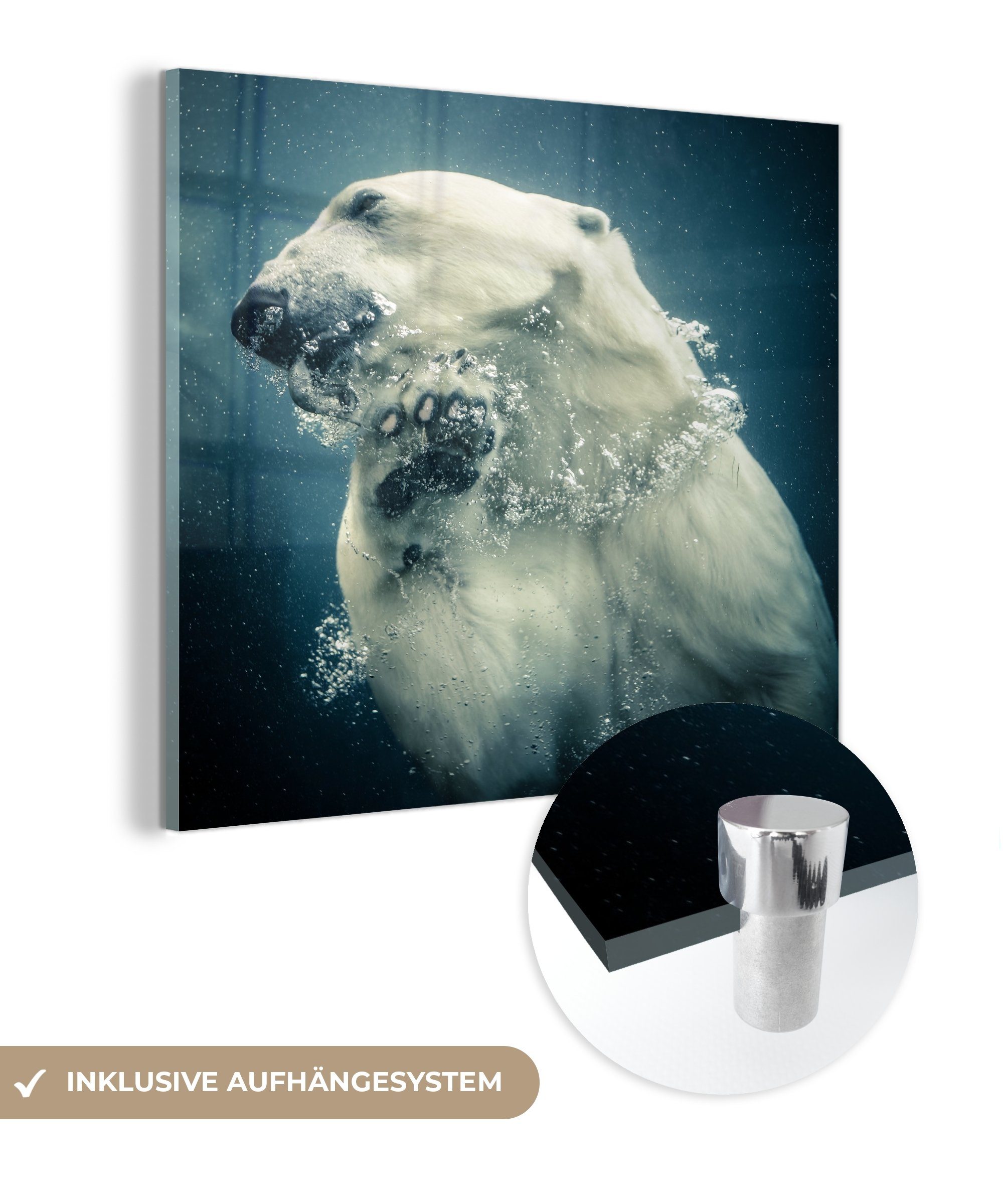 MuchoWow Acrylglasbild Eisbär unter Wasser, (1 St), Glasbilder - Bilder auf Glas Wandbild - Foto auf Glas - Wanddekoration