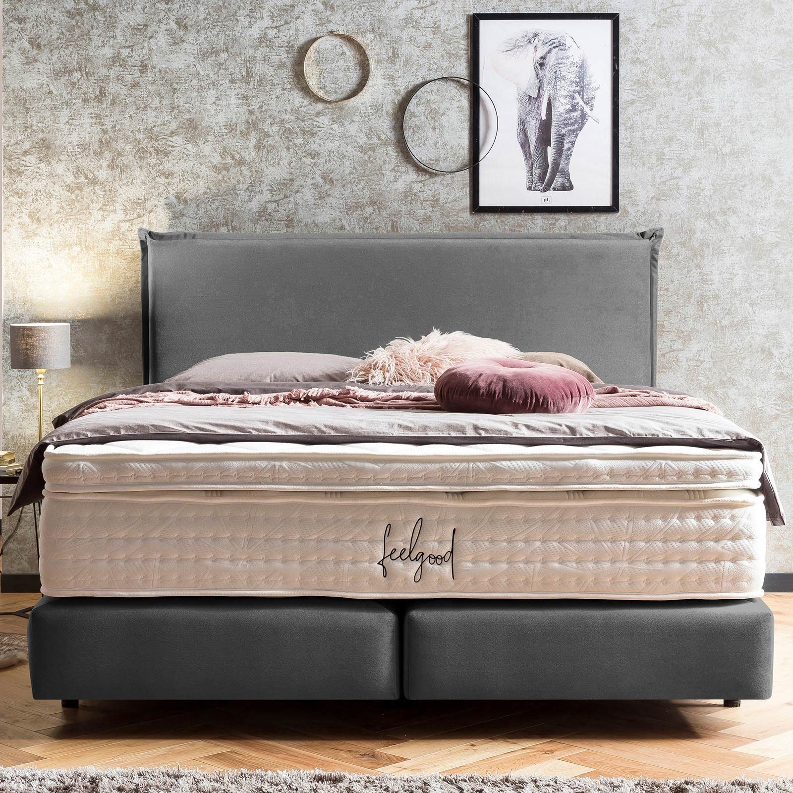 BettCo Boxspringbett London (in Dunkelgrau Samt, günstig online kaufen