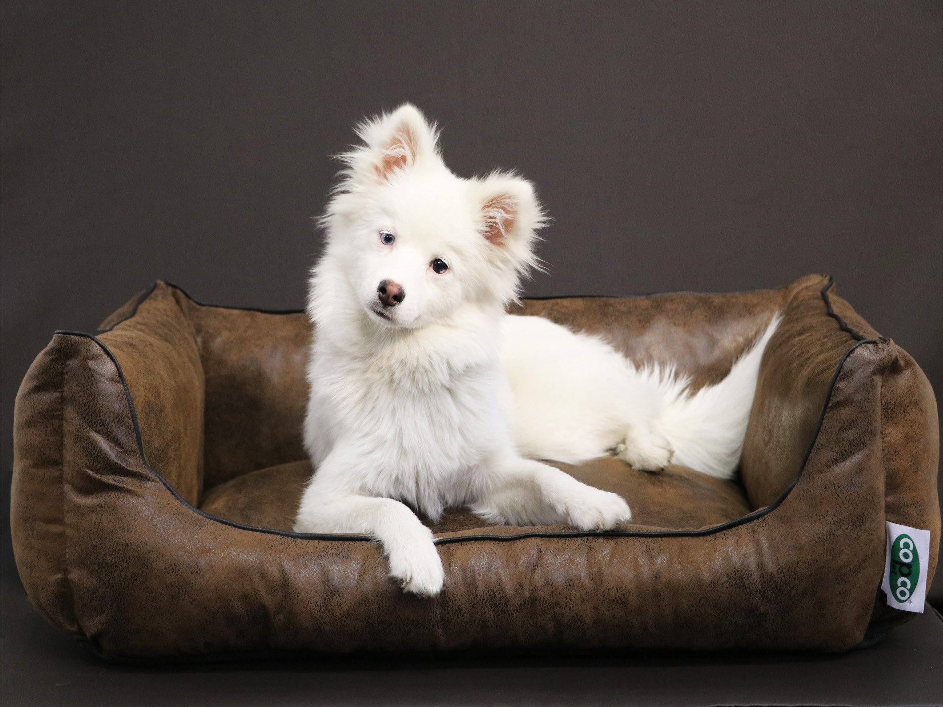 CopcoPet Tierbett Emma Orthopädisch Hundebett günstig online kaufen