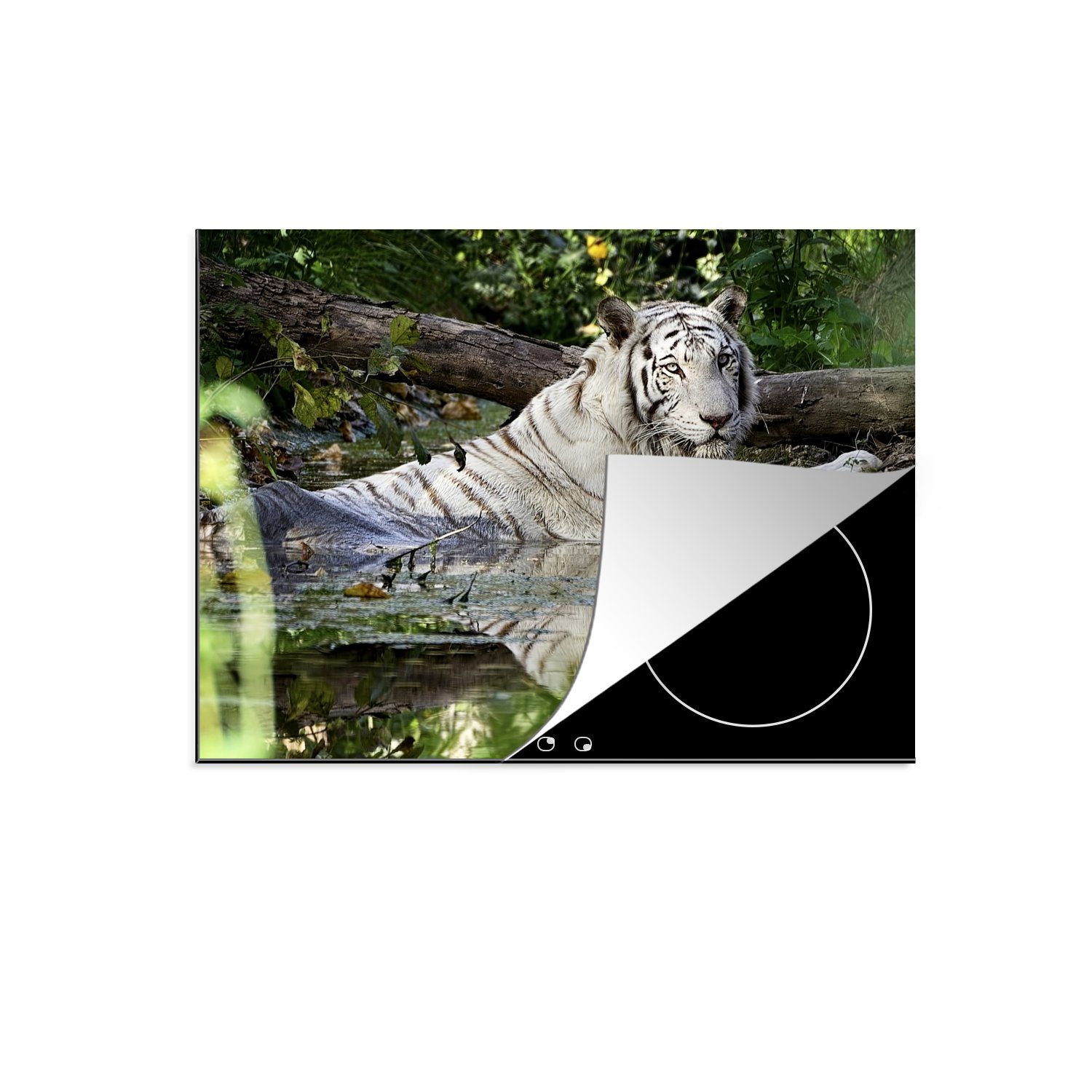 MuchoWow Herdblende-/Abdeckplatte Weißer Tiger im (1 tlg), Ceranfeldabdeckung Wasser, cm, Mobile Vinyl, 70x52 Arbeitsfläche nutzbar