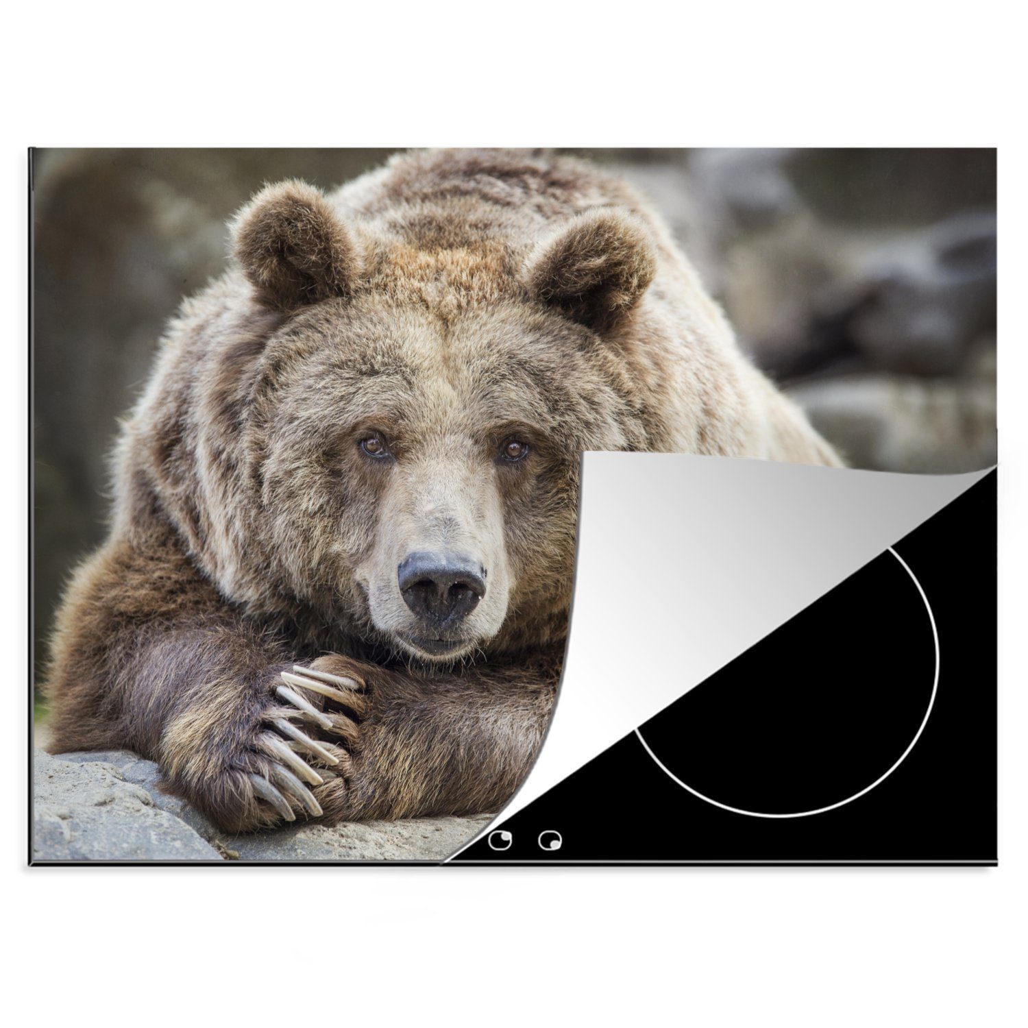 MuchoWow Herdblende-/Abdeckplatte Bild eines Grizzlybären mit zusammengelegten Händen, Vinyl, (1 tlg), 70x52 cm, Mobile Arbeitsfläche nutzbar, Ceranfeldabdeckung