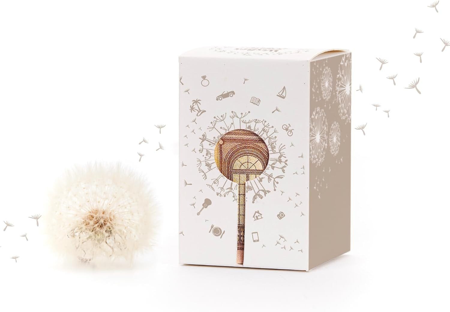 Die Stadtgärtner Spardose Kreative Verpackung zum Geld verschenken, Wunscherfüller Pusteblume