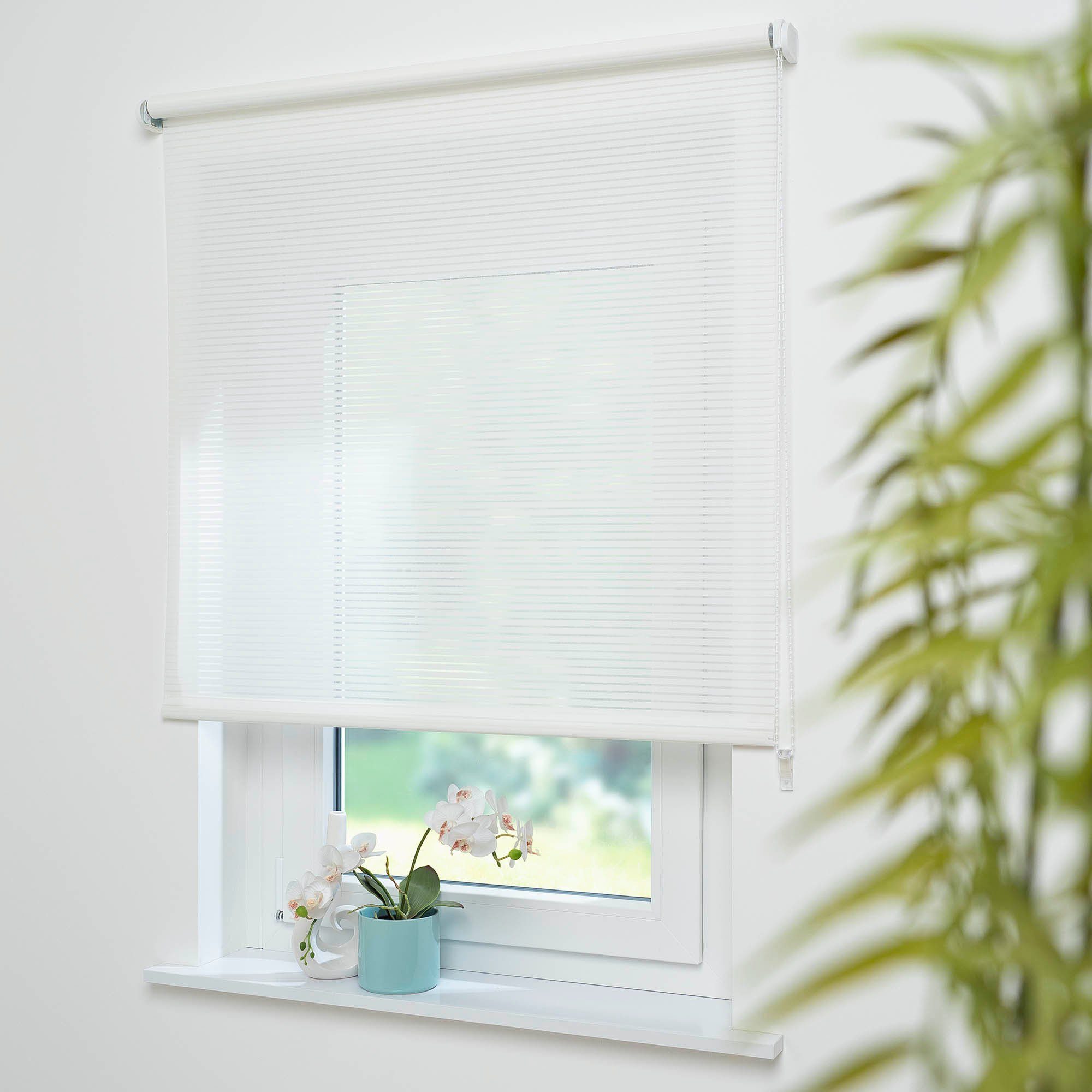 Seitenzugrollo Dekor Streifen, Liedeco, Lichtschutz, mit Bohren, verschraub günstig online kaufen