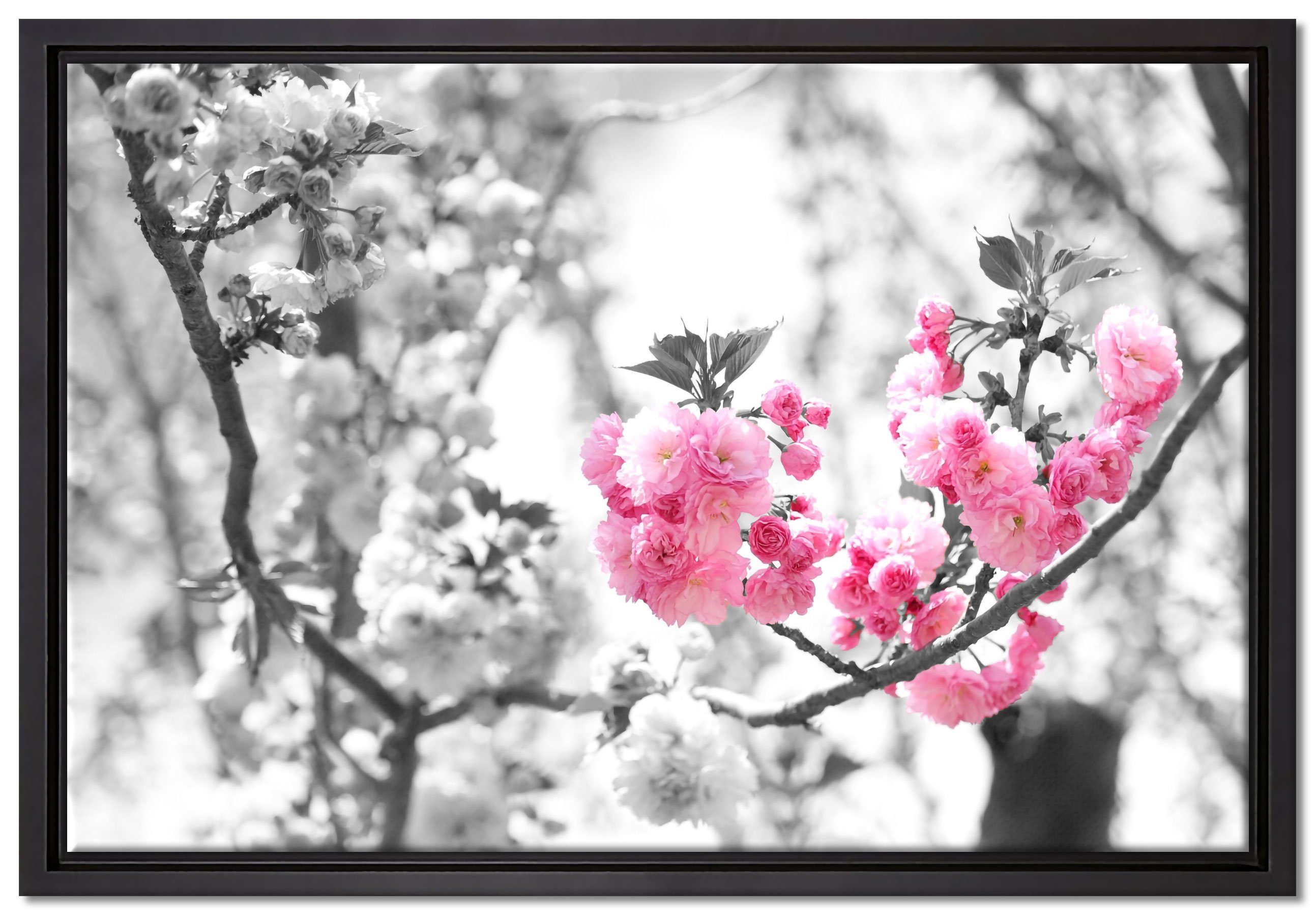 Pixxprint Leinwandbild sehr schöne Kirschblüten, Wanddekoration (1 St), Leinwandbild fertig bespannt, in einem Schattenfugen-Bilderrahmen gefasst, inkl. Zackenaufhänger