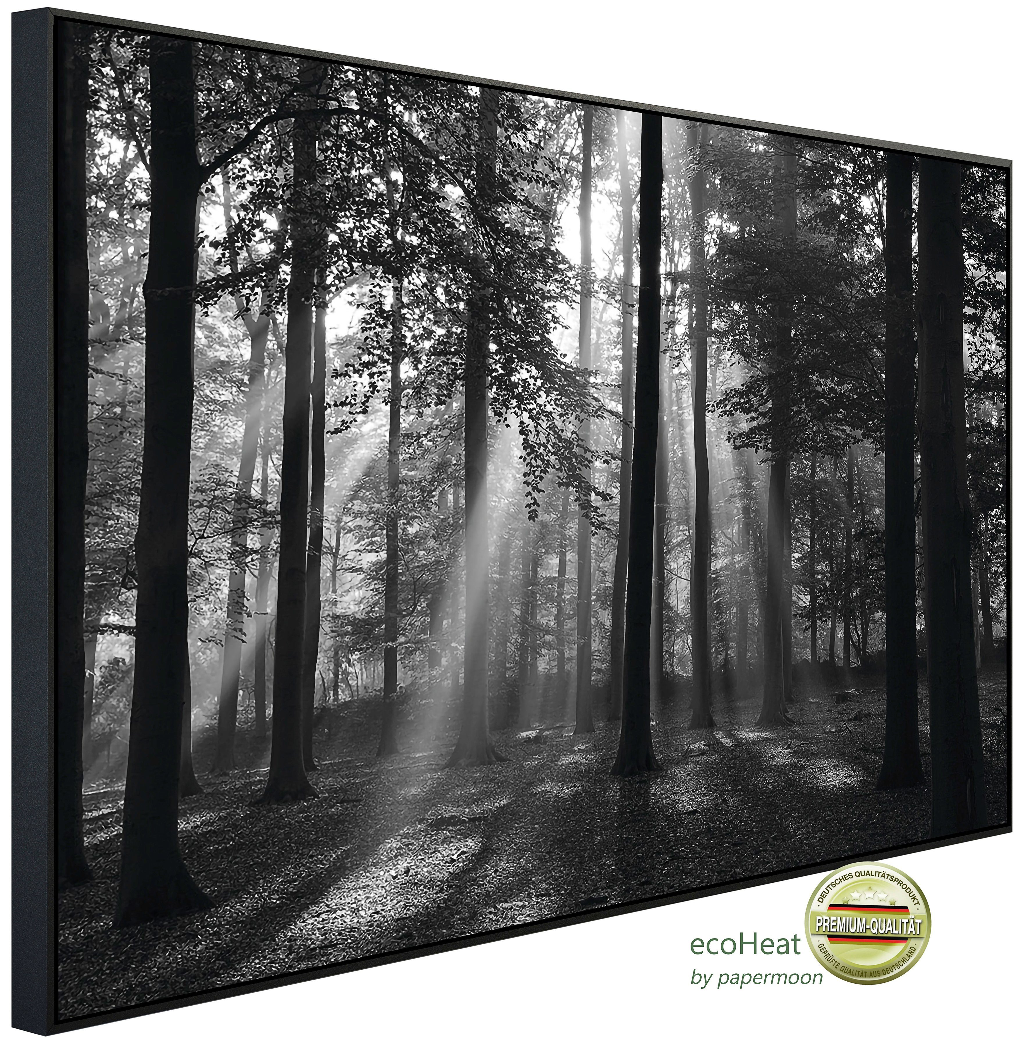 Papermoon Infrarotheizung Forrest Morgen in schwarz & weiß, sehr angenehme Strahlungswärme