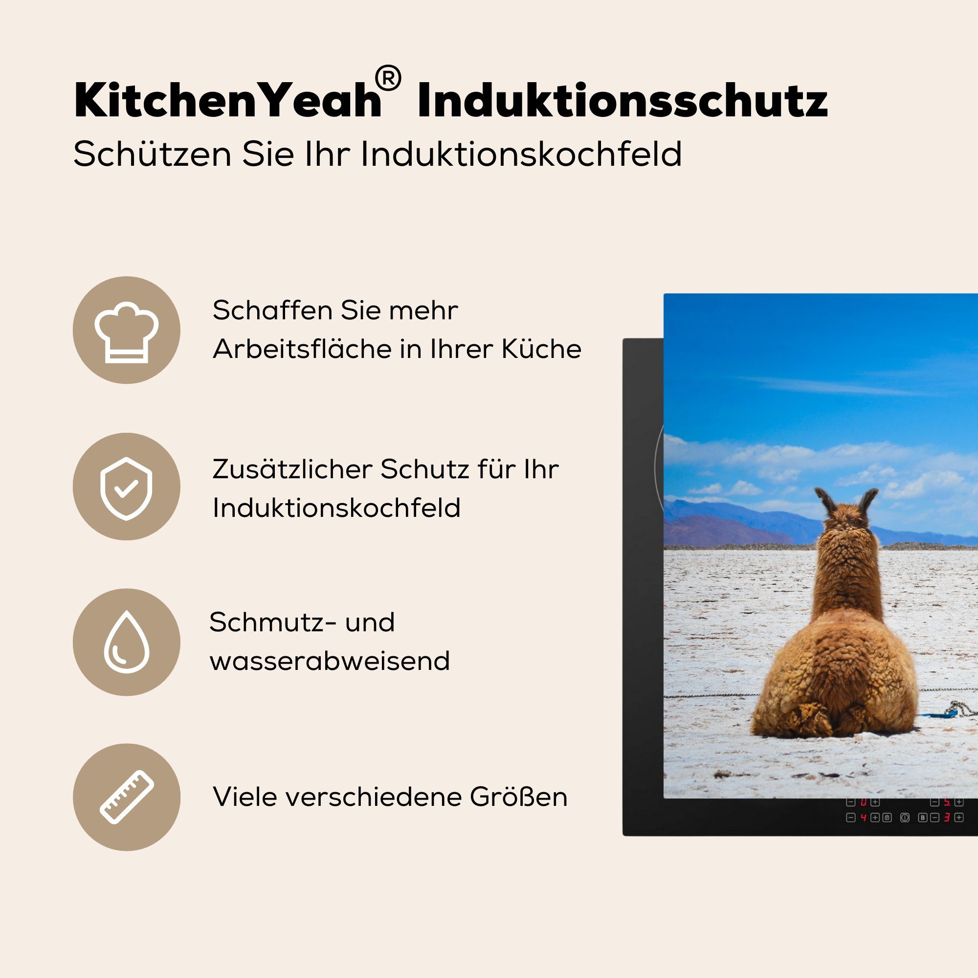 Herdblende-/Abdeckplatte für Tiere - (1 Vinyl, tlg), küche, - Schutz Lama MuchoWow Sand, die cm, 81x52 Ceranfeldabdeckung Induktionskochfeld