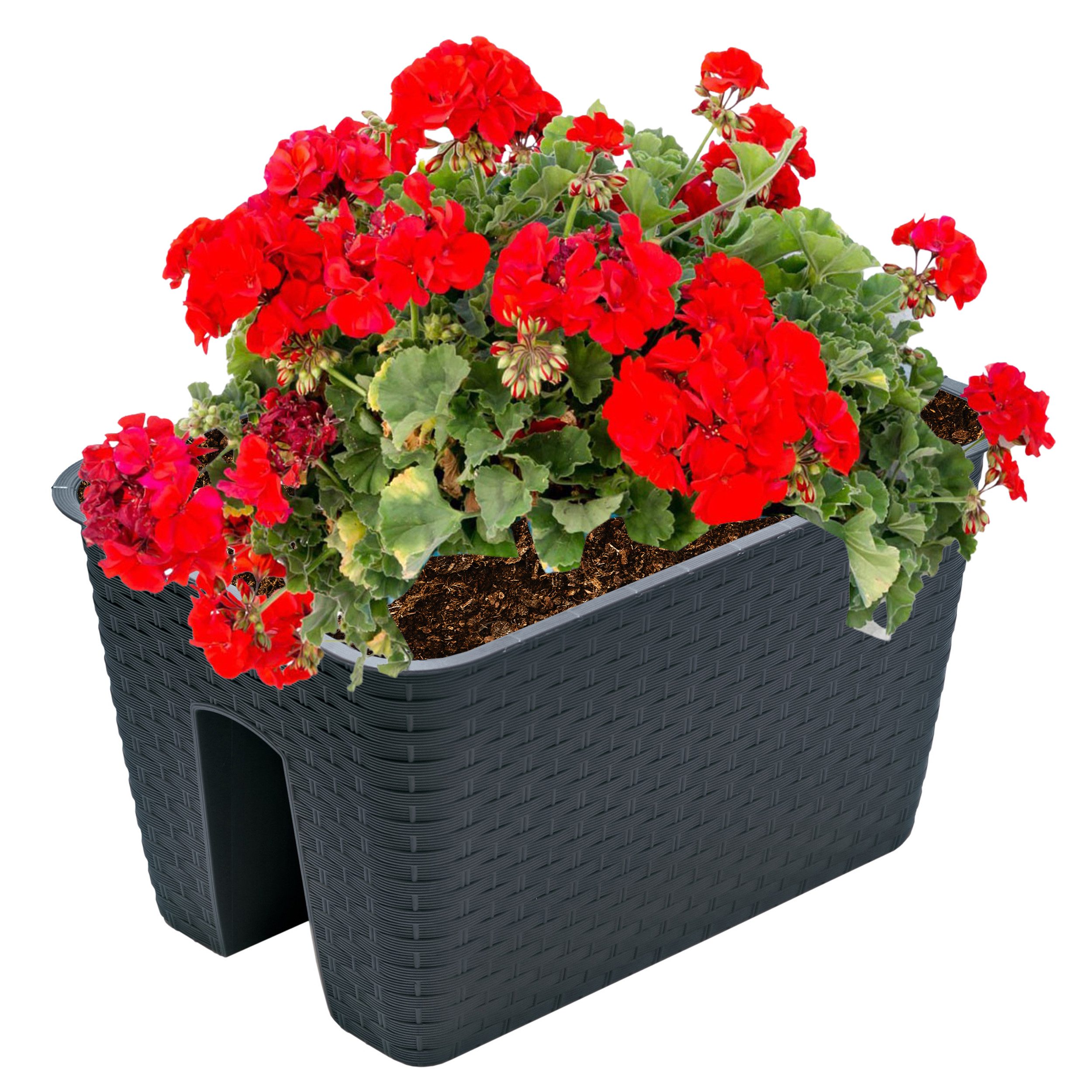 Annastore Balkonkasten Blumenkasten für Geländer und Brüstungen - Pflanzkasten für Geländer, Geländerkasten, Blumentopf, Geländertopf