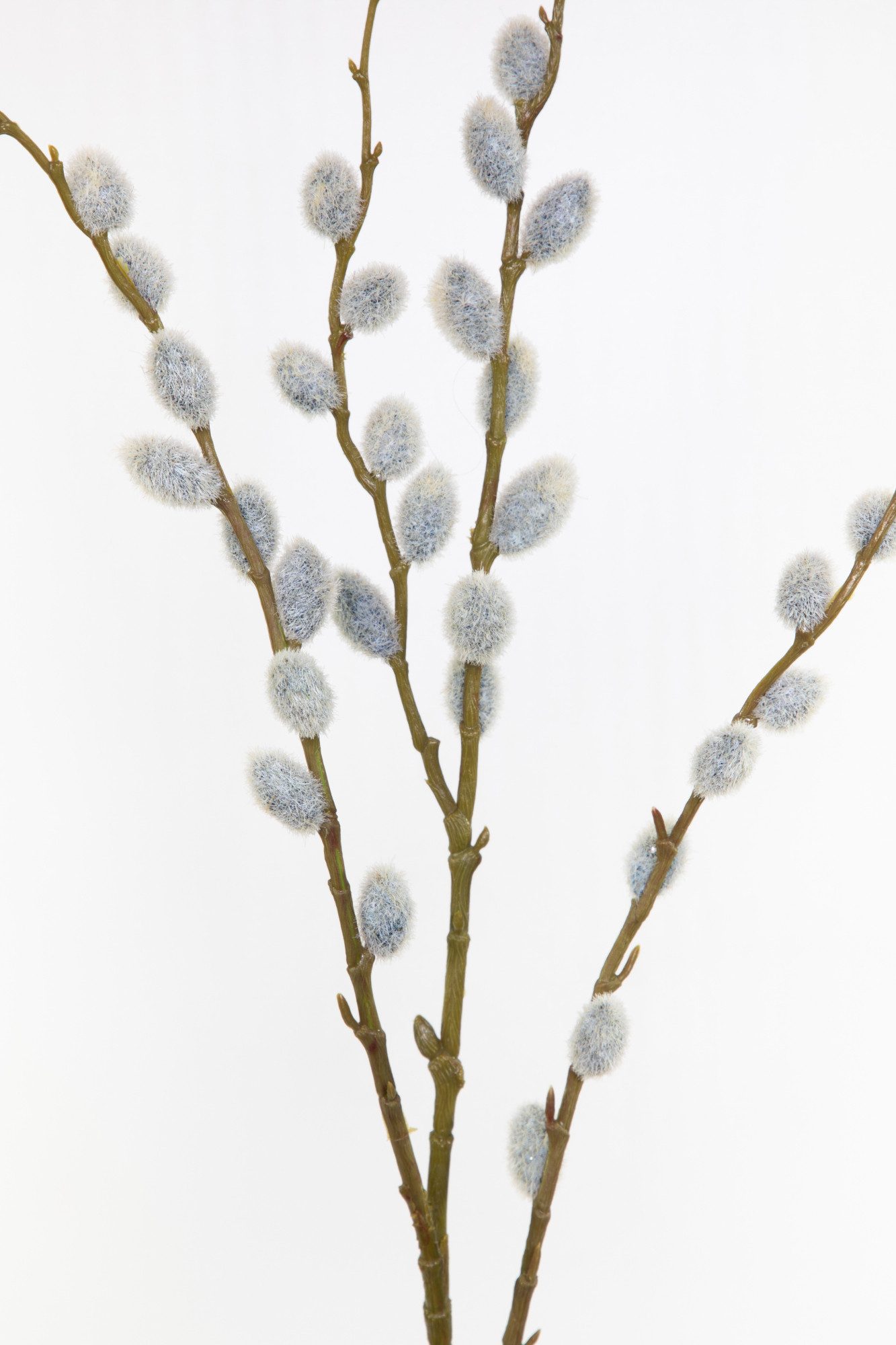 Kunstblume Weidenkätzchenzweig Nature 80cm FT künstliche Palmkätzchen Salix günstig online kaufen