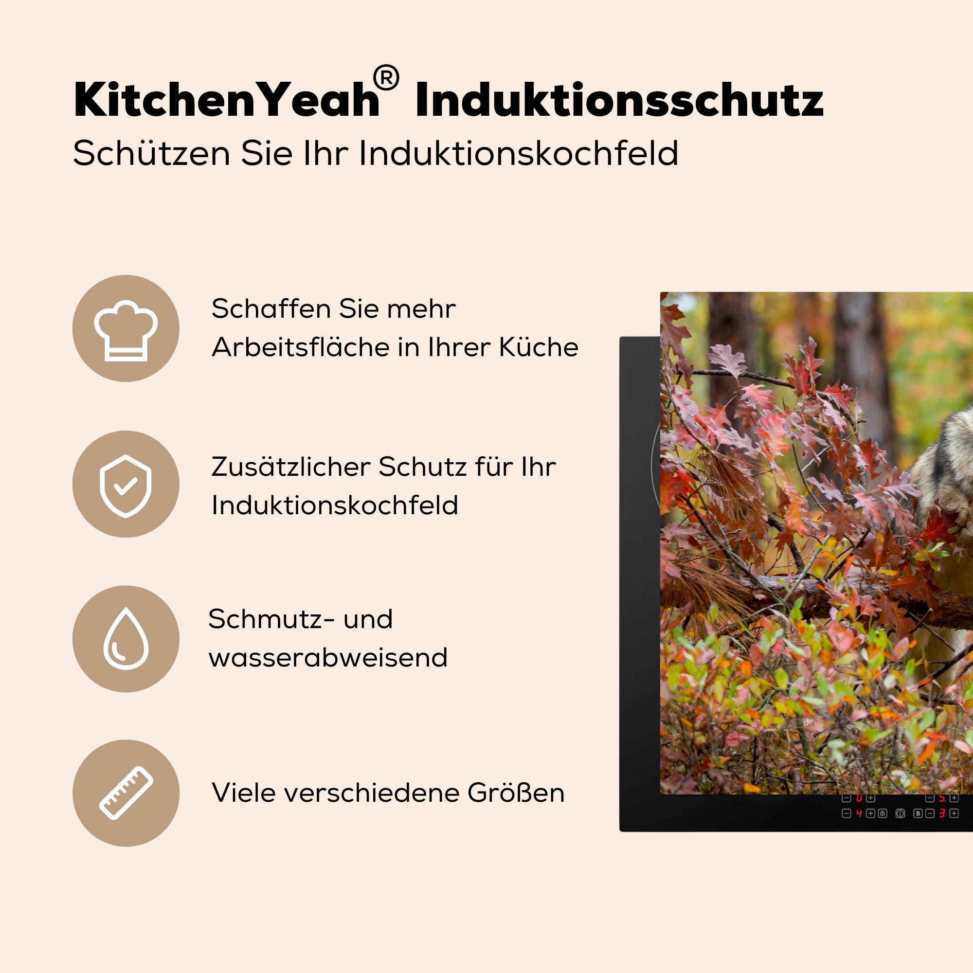 Induktionskochfeld cm, 81x52 MuchoWow Wolf für - Ast Vinyl, Herdblende-/Abdeckplatte Schutz Wald, Ceranfeldabdeckung (1 die küche, tlg), -
