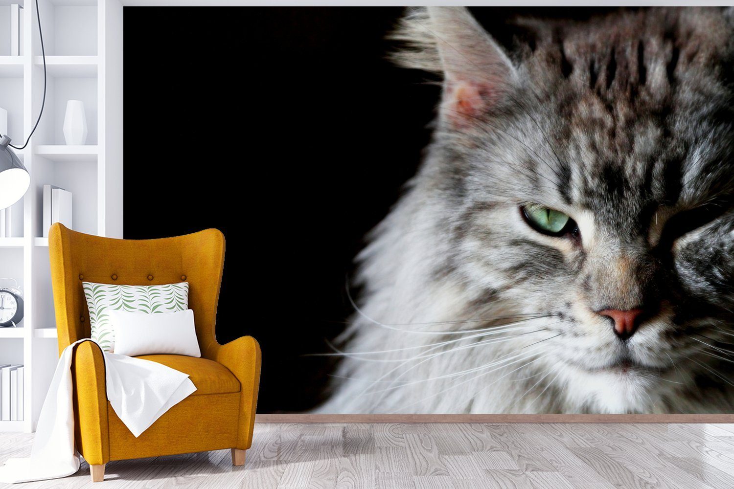 Matt, Wallpaper Porträt MuchoWow für einer Maine Coon graufarbigen Katze, Tapete (6 Vinyl Fototapete St), bedruckt, Wohnzimmer, Schlafzimmer, Kinderzimmer,