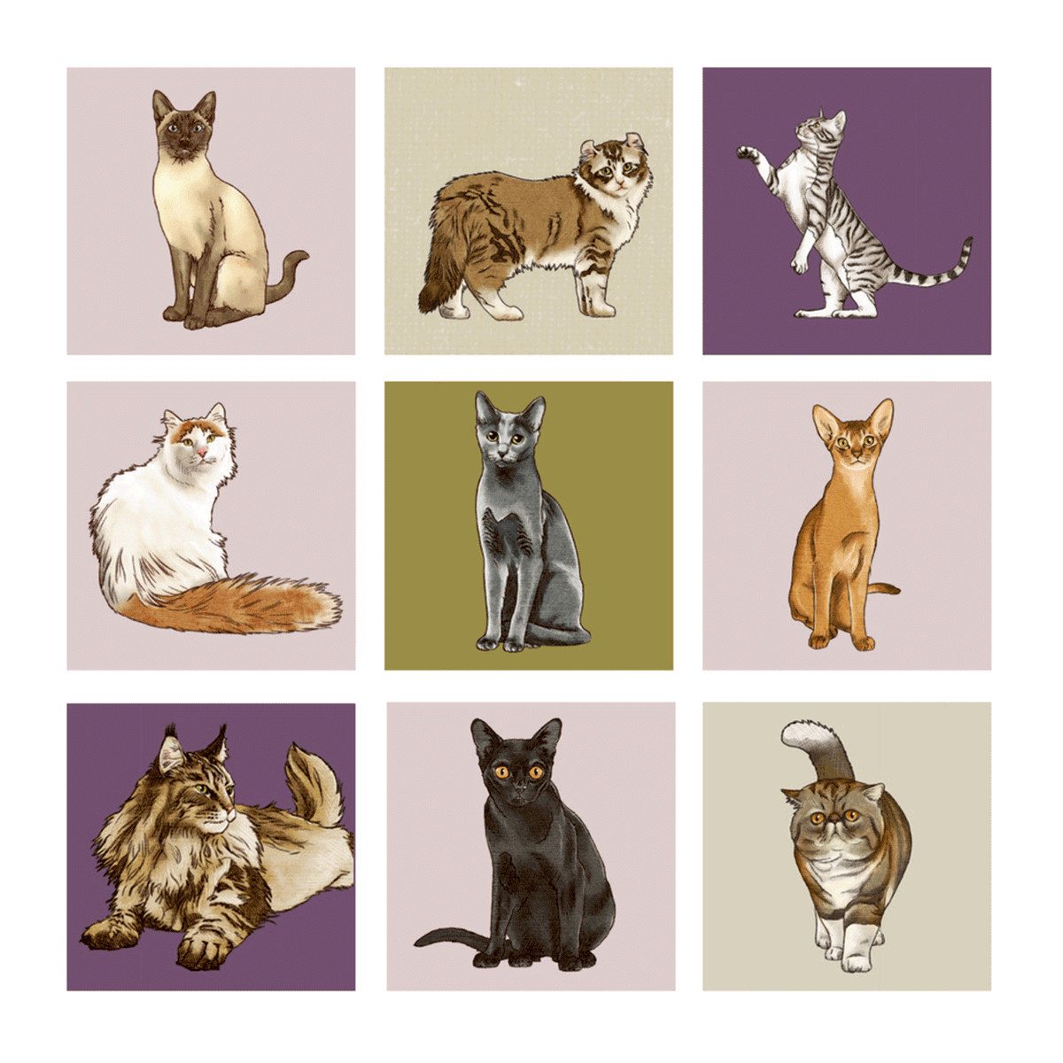 COPPENRATH DIE SPIEGELBURG Spiel Coppenrath 22016 - Die Spiegelburg - I love cats (cats & dogs) - Katze