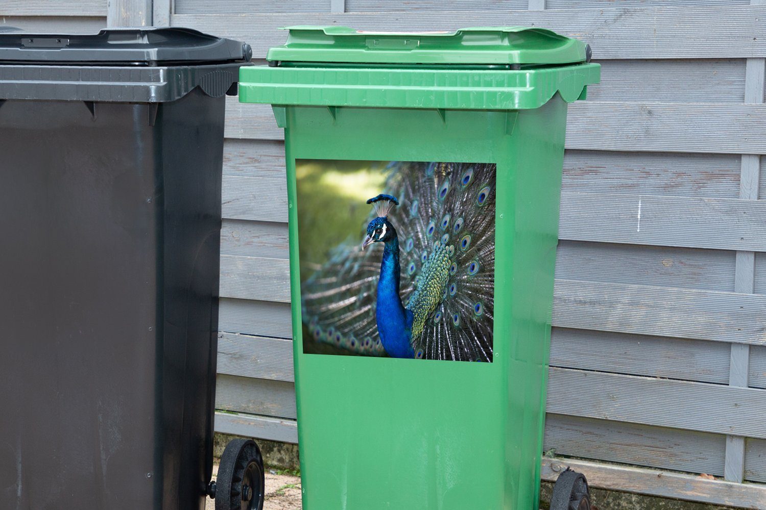 MuchoWow - Sticker, Mülltonne, - Wandsticker (1 Abfalbehälter Container, Mülleimer-aufkleber, Blau Vögel St), Pfau